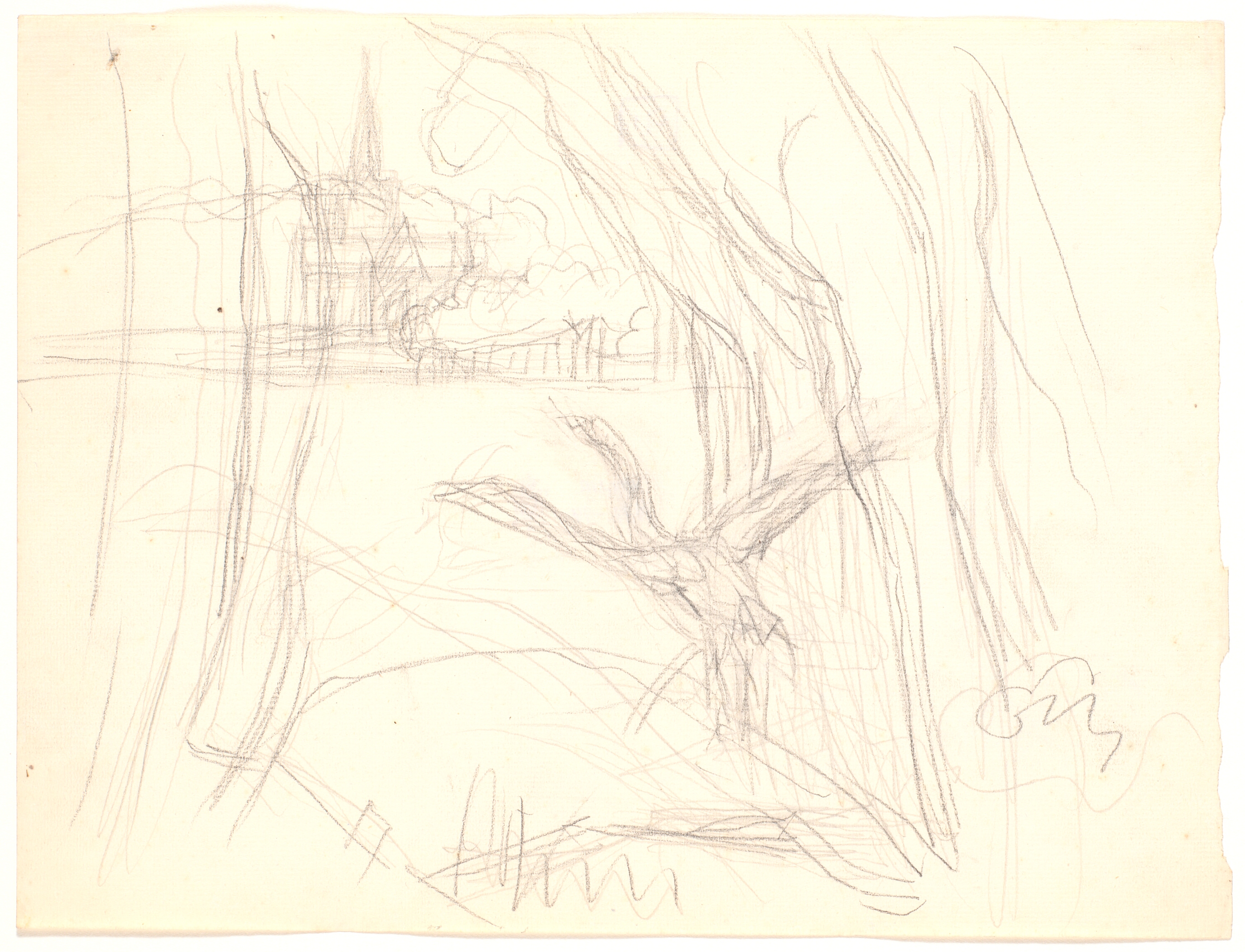 Landskab med lettende svane