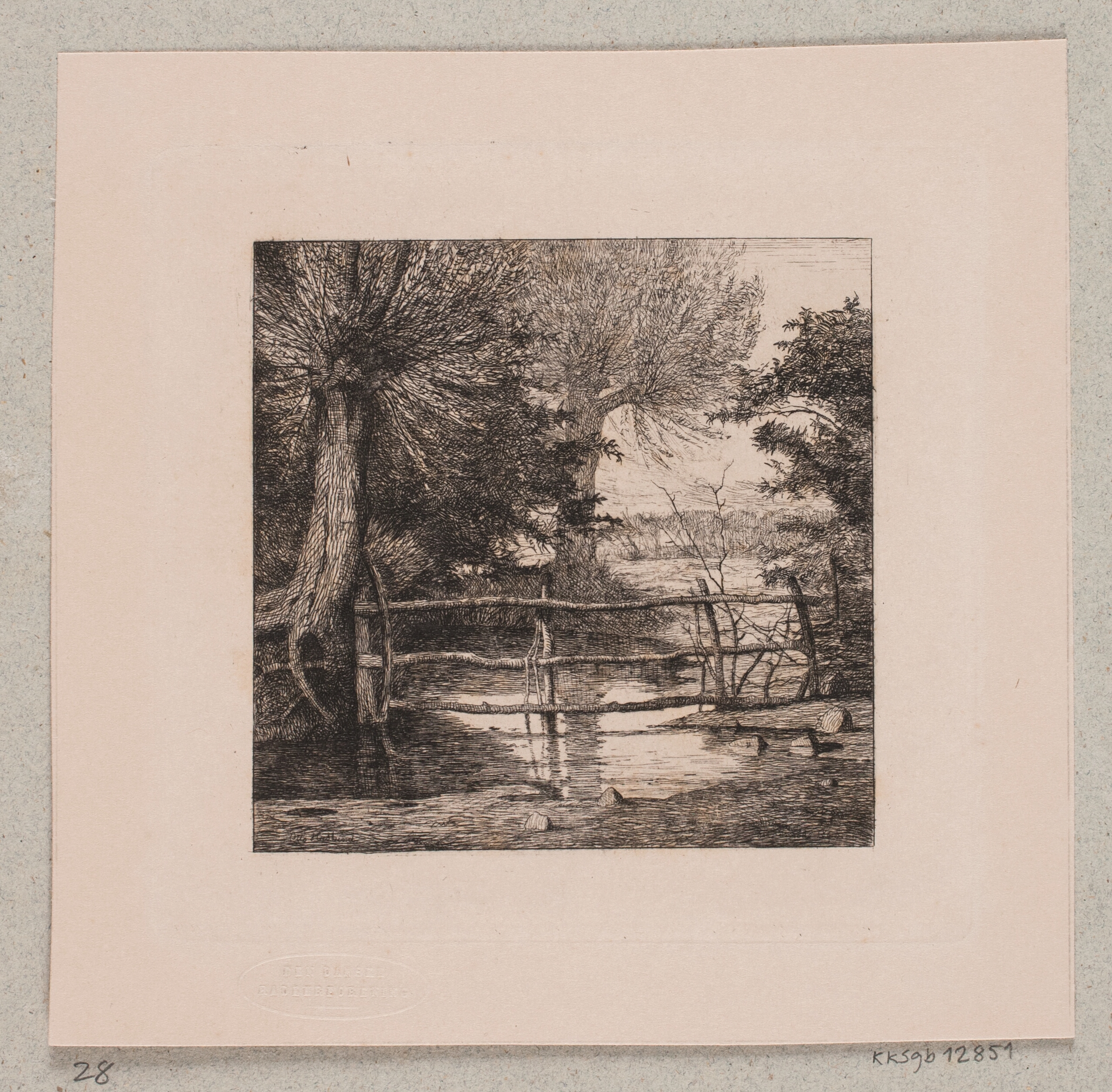 Piletræer ved et vandløb