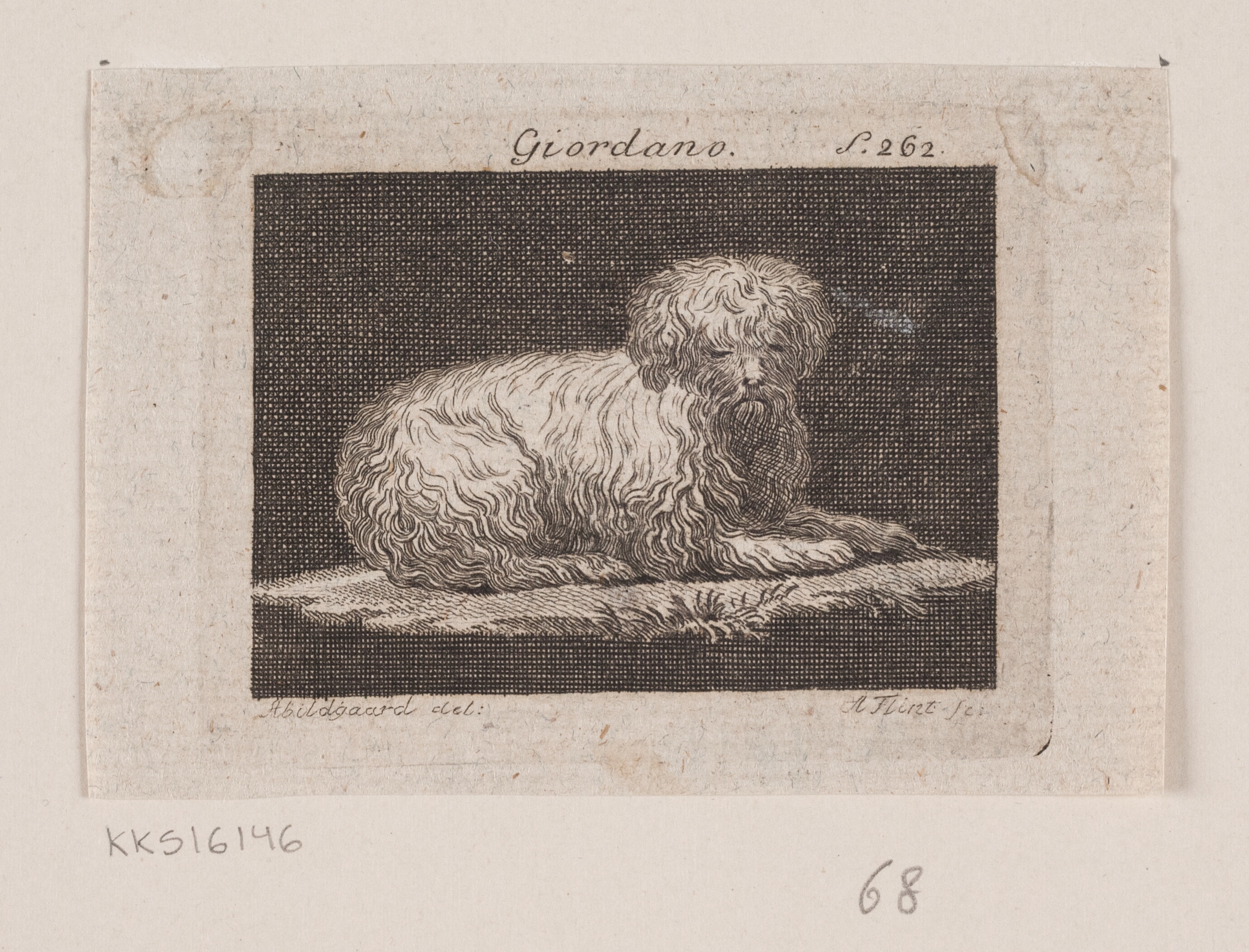 Giordano, en liggende hund