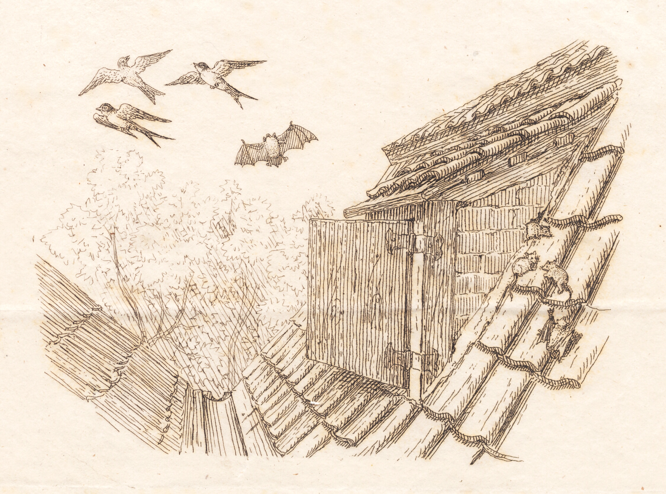 Illustration til "Halvhundrede Fabler for Børn" af Hey