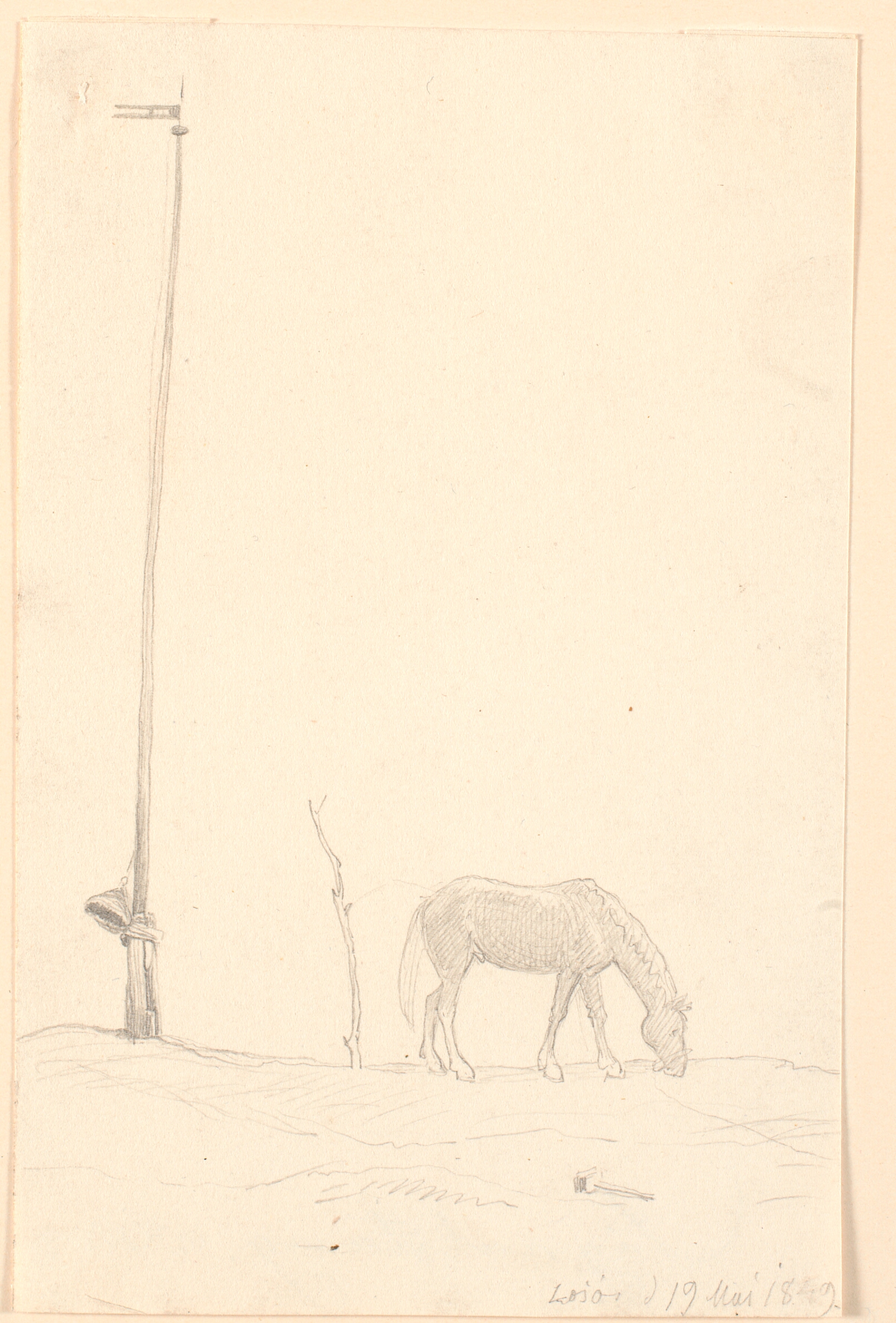 Signalstang og en græssende hest