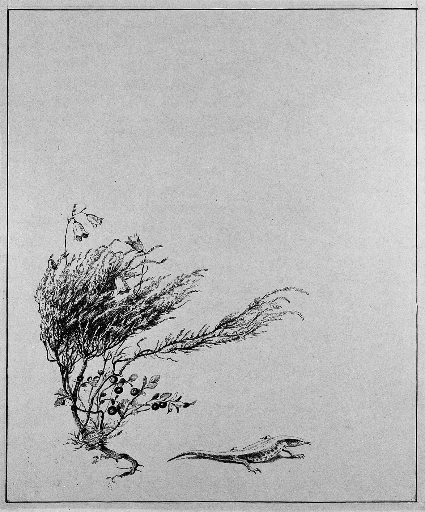 Frederik Christian Winsløw