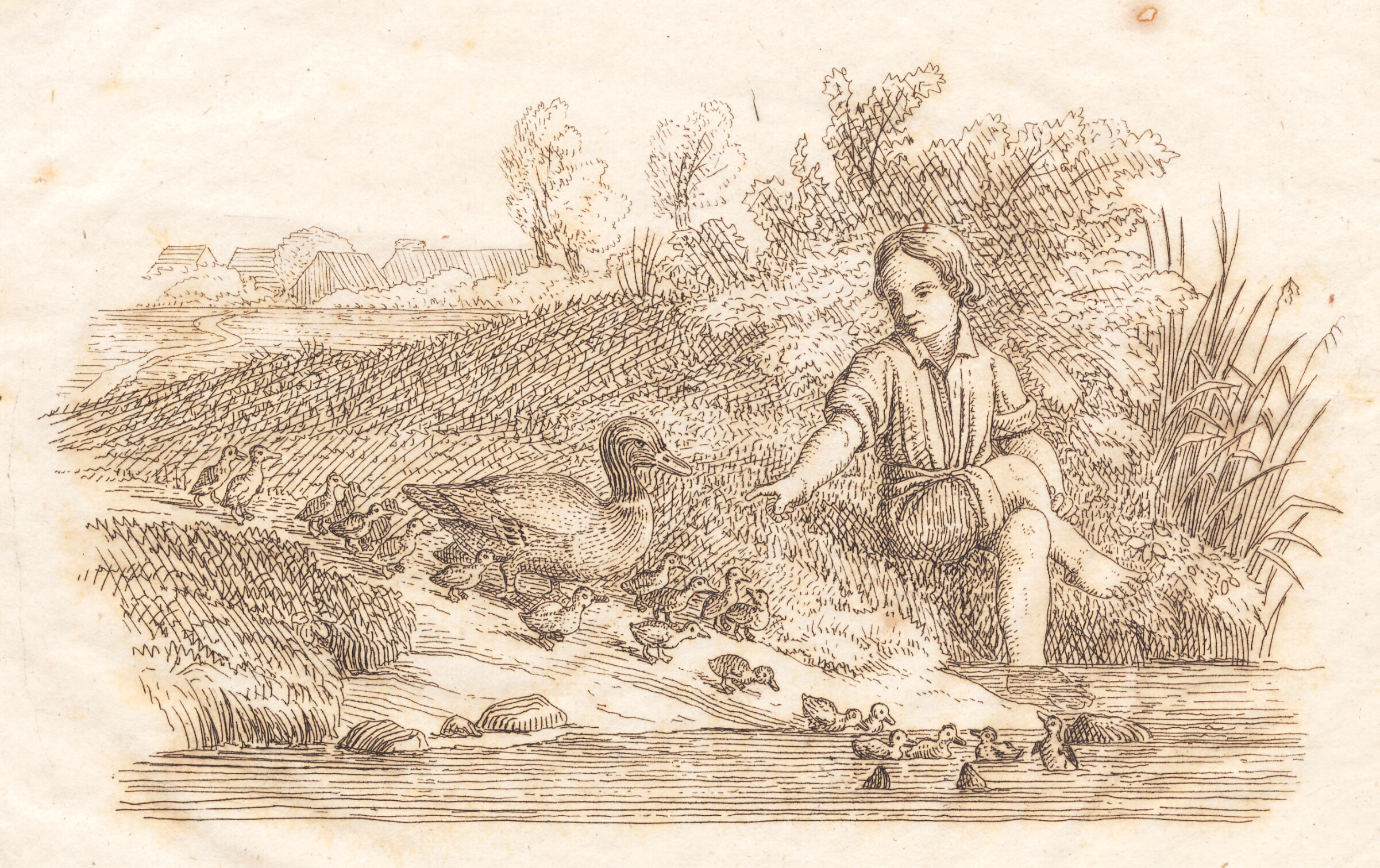 Illustration til "Halvhundrede Fabler for Børn" af Hey