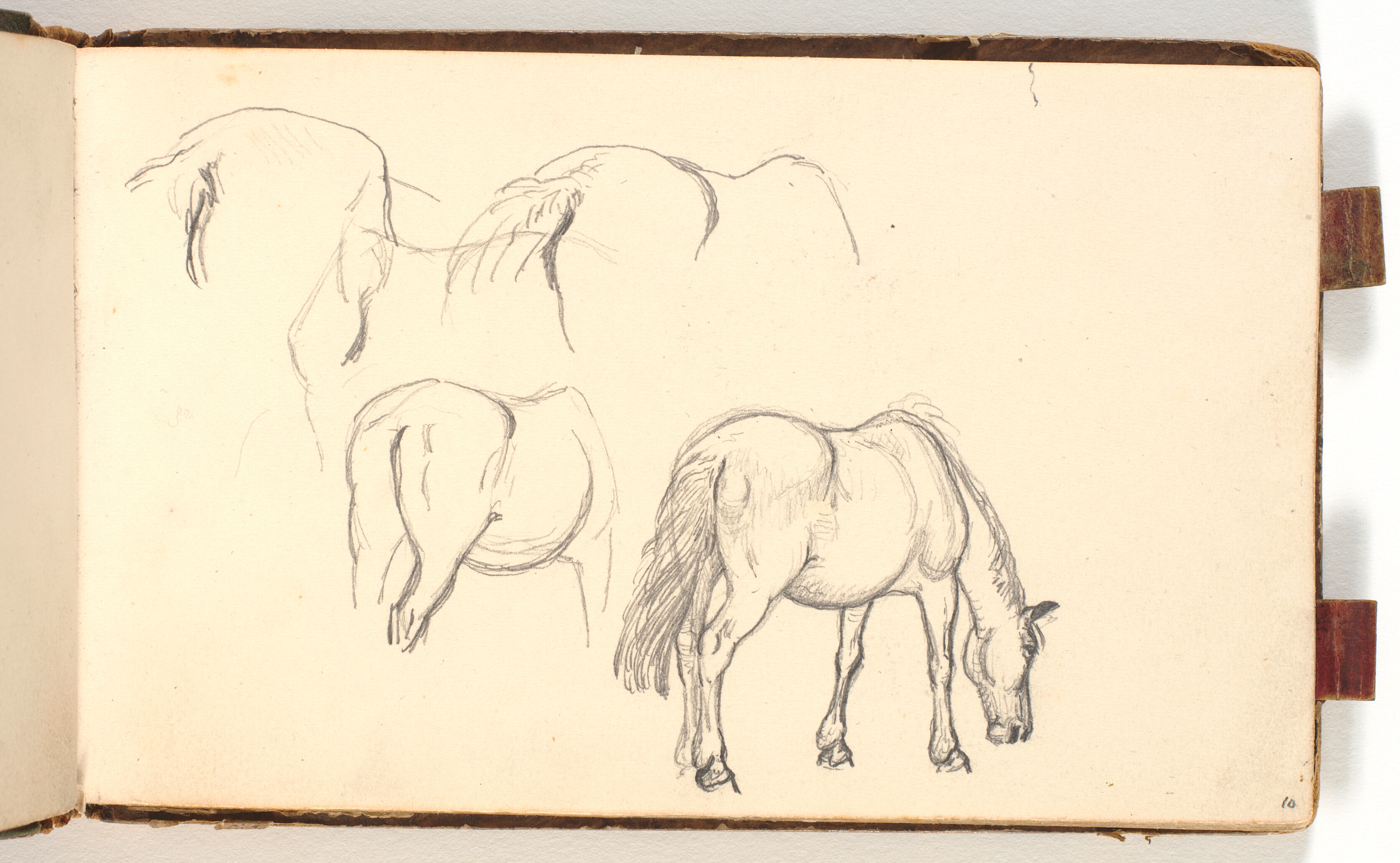 Studier af en drikkende hest