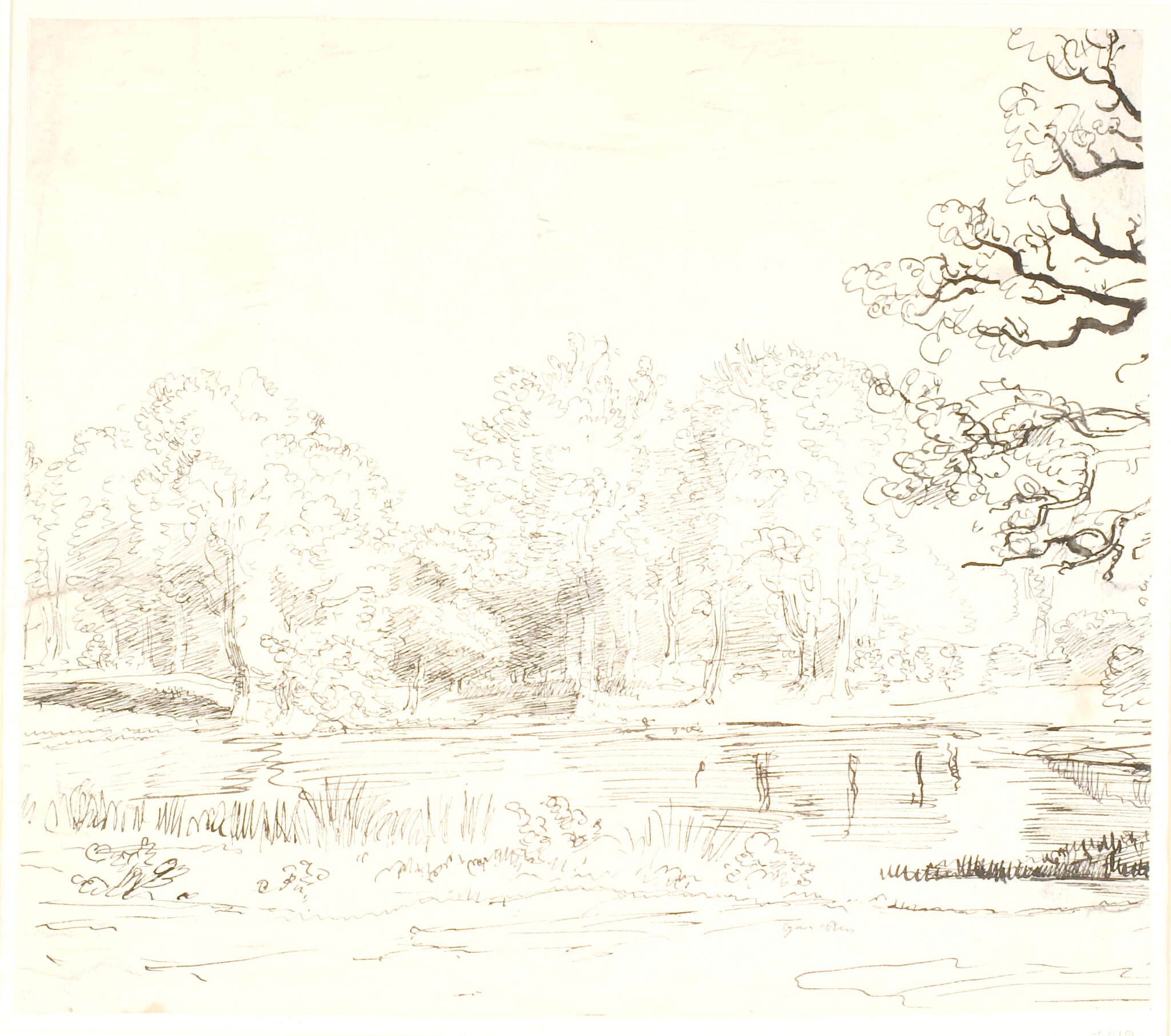 Dammen ved Hammermøllen