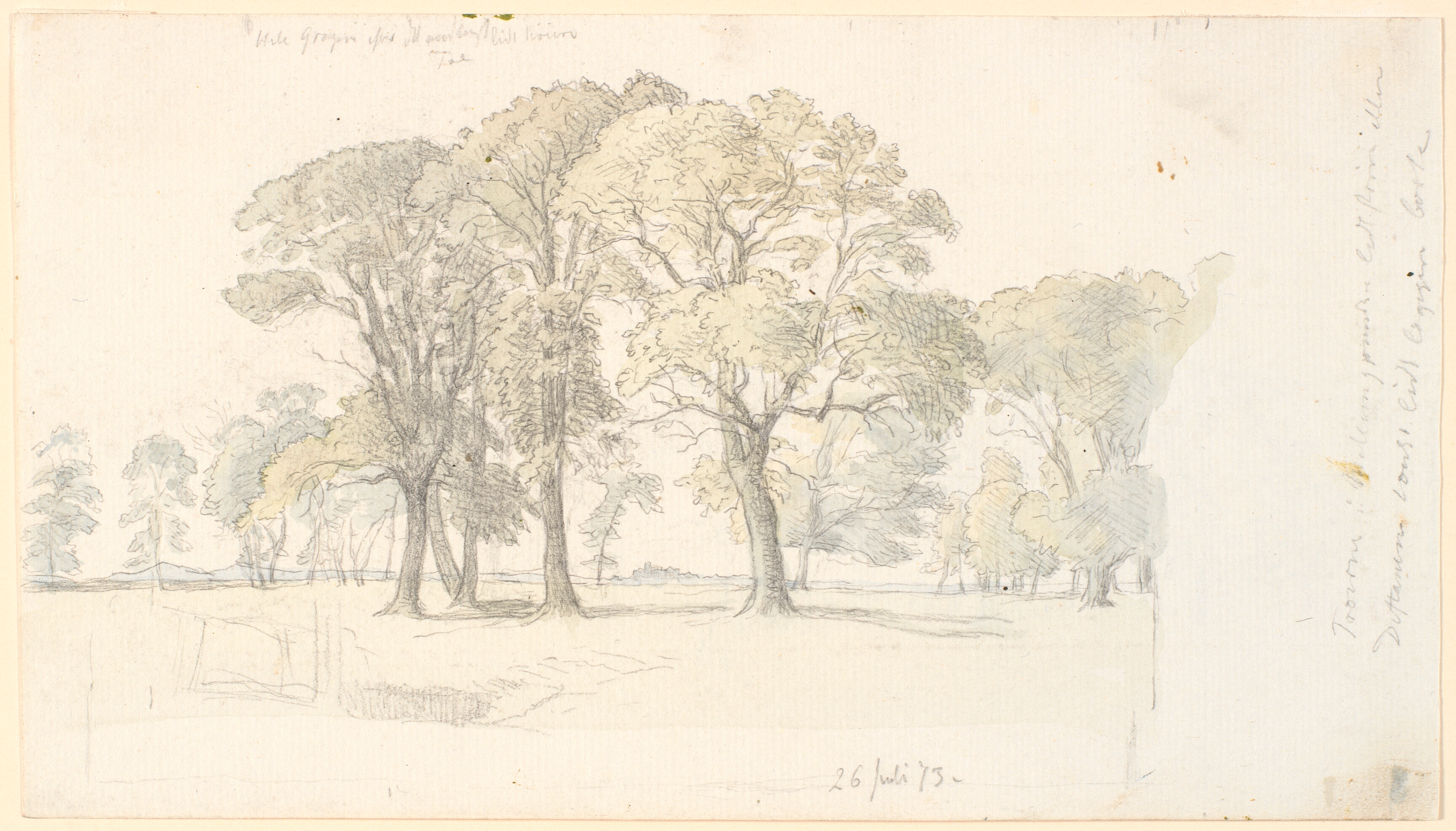 Parti fra Jægersborg Dyrehave med fritstående træer.