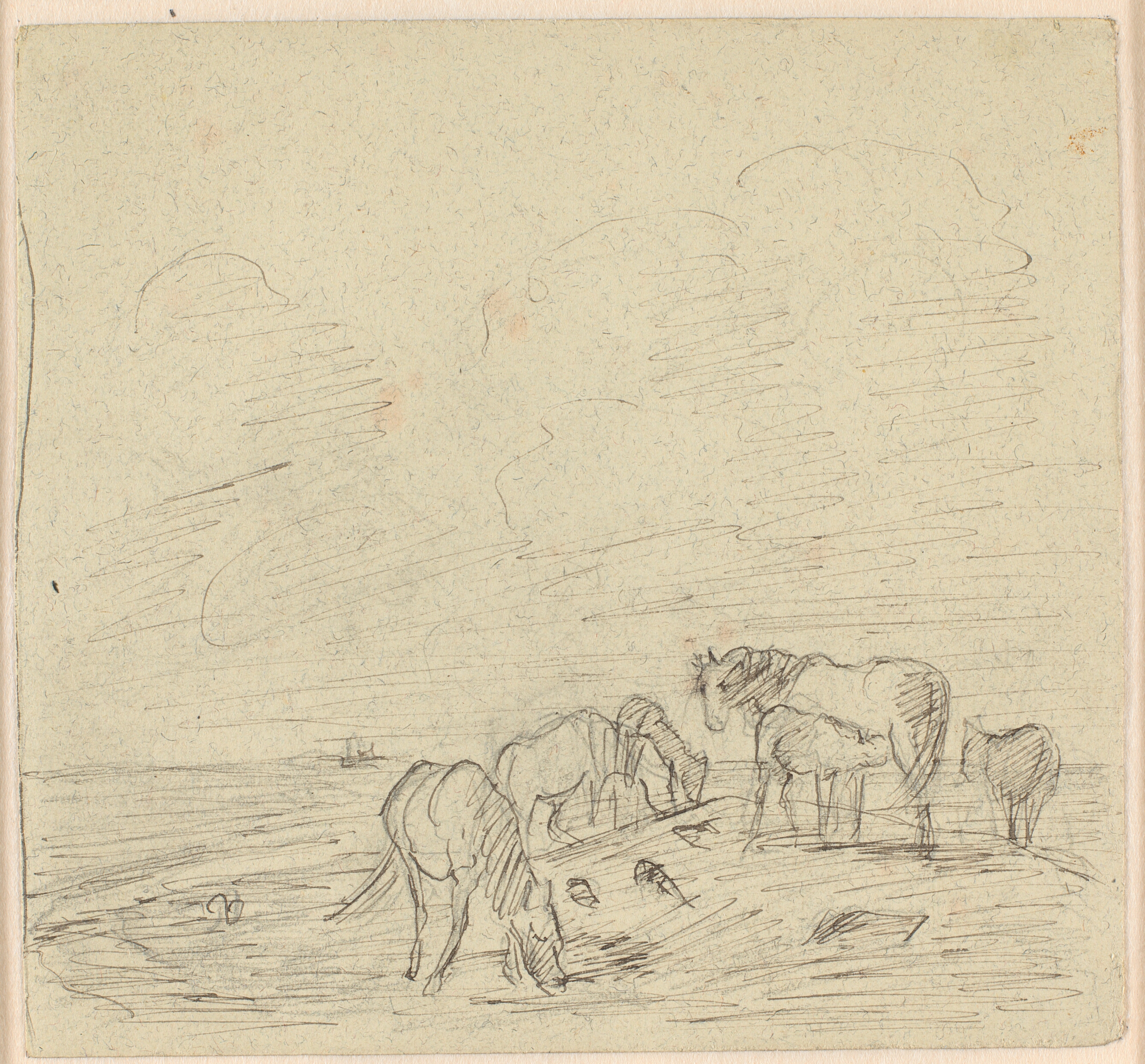 Heste på "Kirkegården", Saltholm