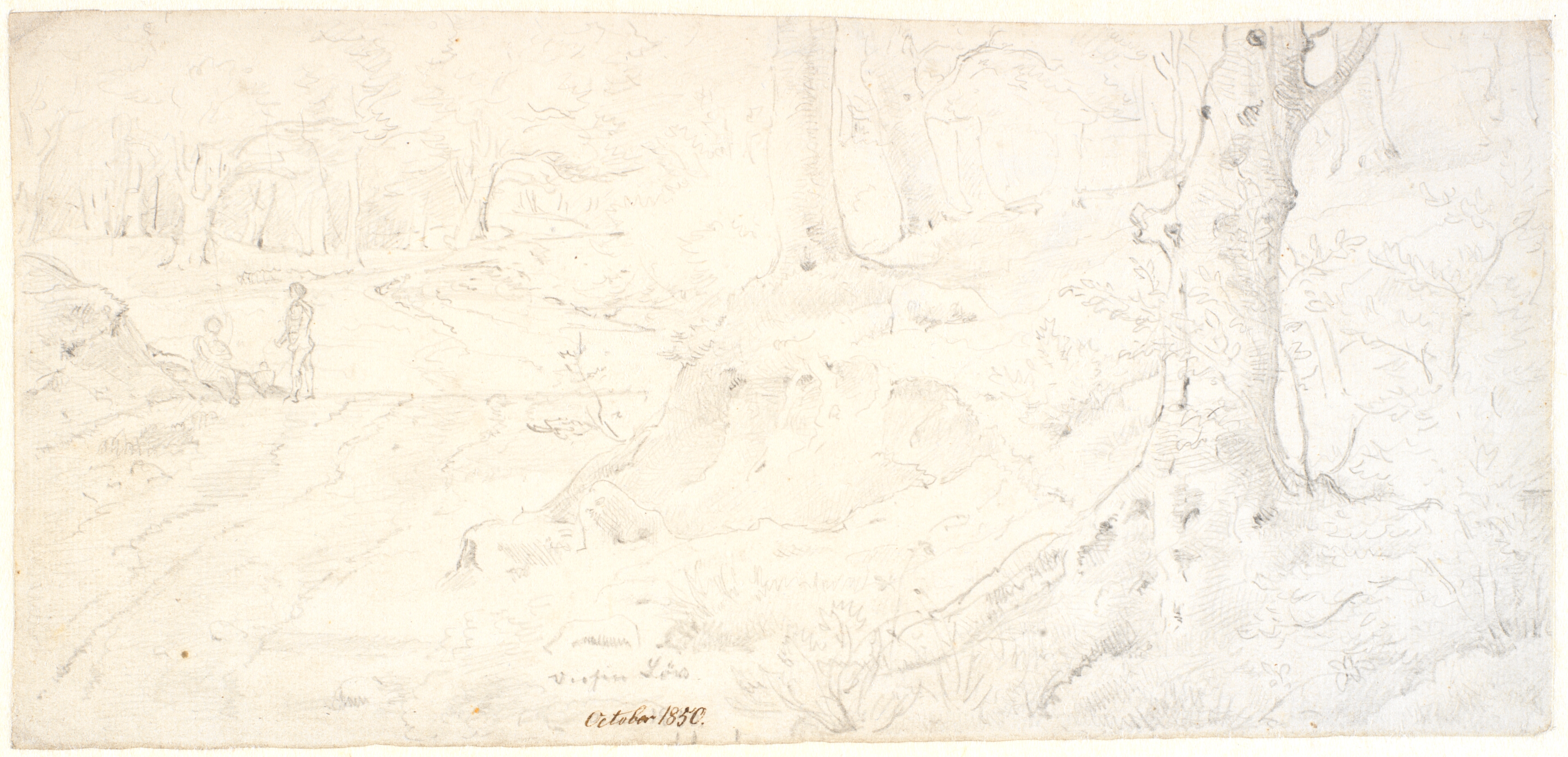 Skovinteriør med en vej