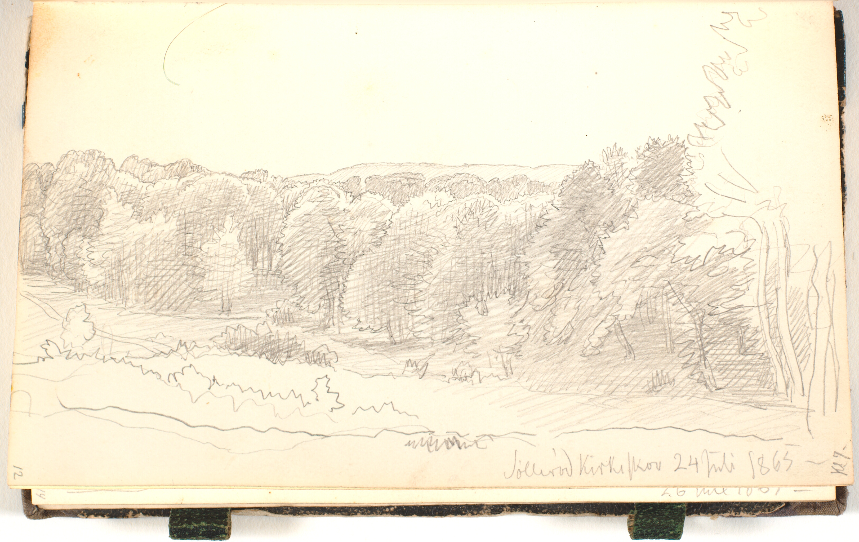 En skov set fra en bakke