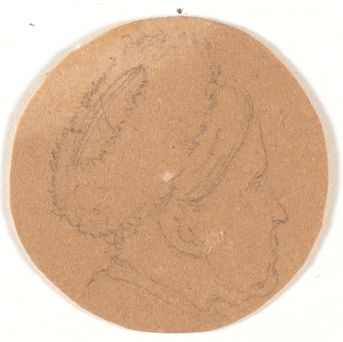 Hoved. Profil til højre