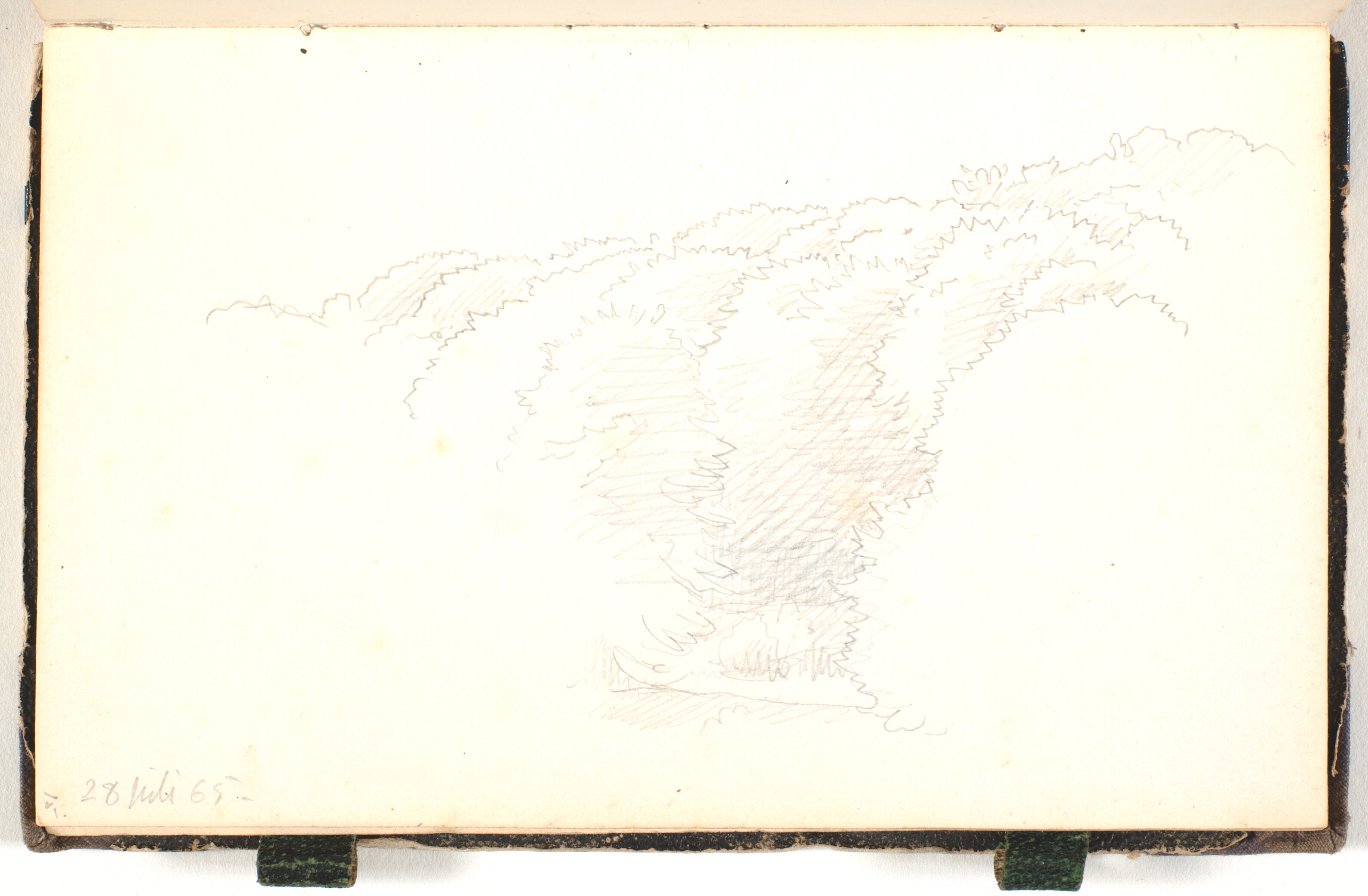 Kronerne af nogle store træer