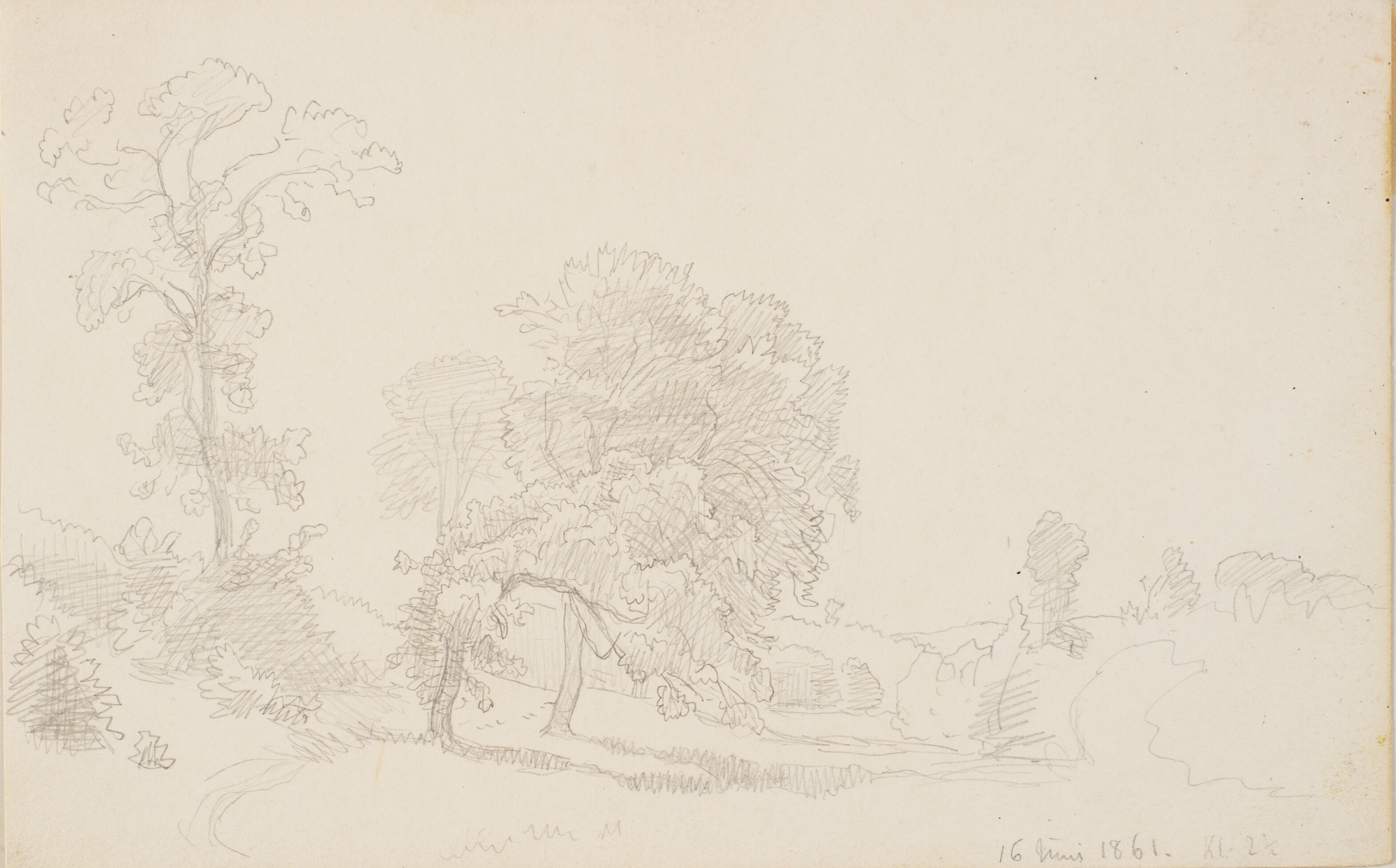 Bakket landskab med store træer.