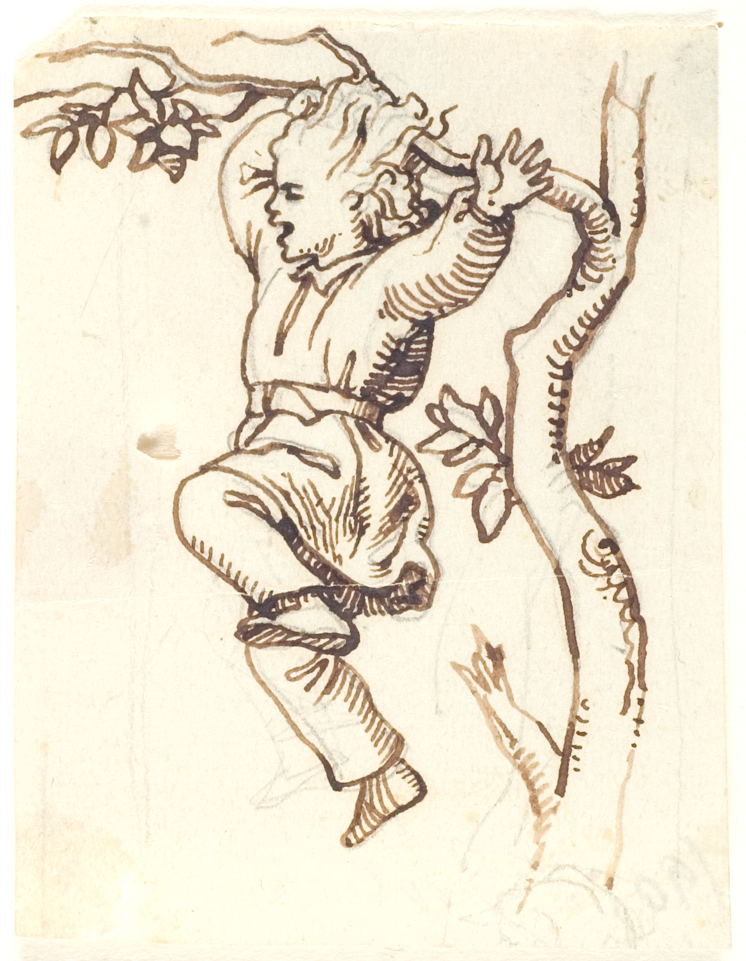 Dreng, der hænger på en gren i et træ