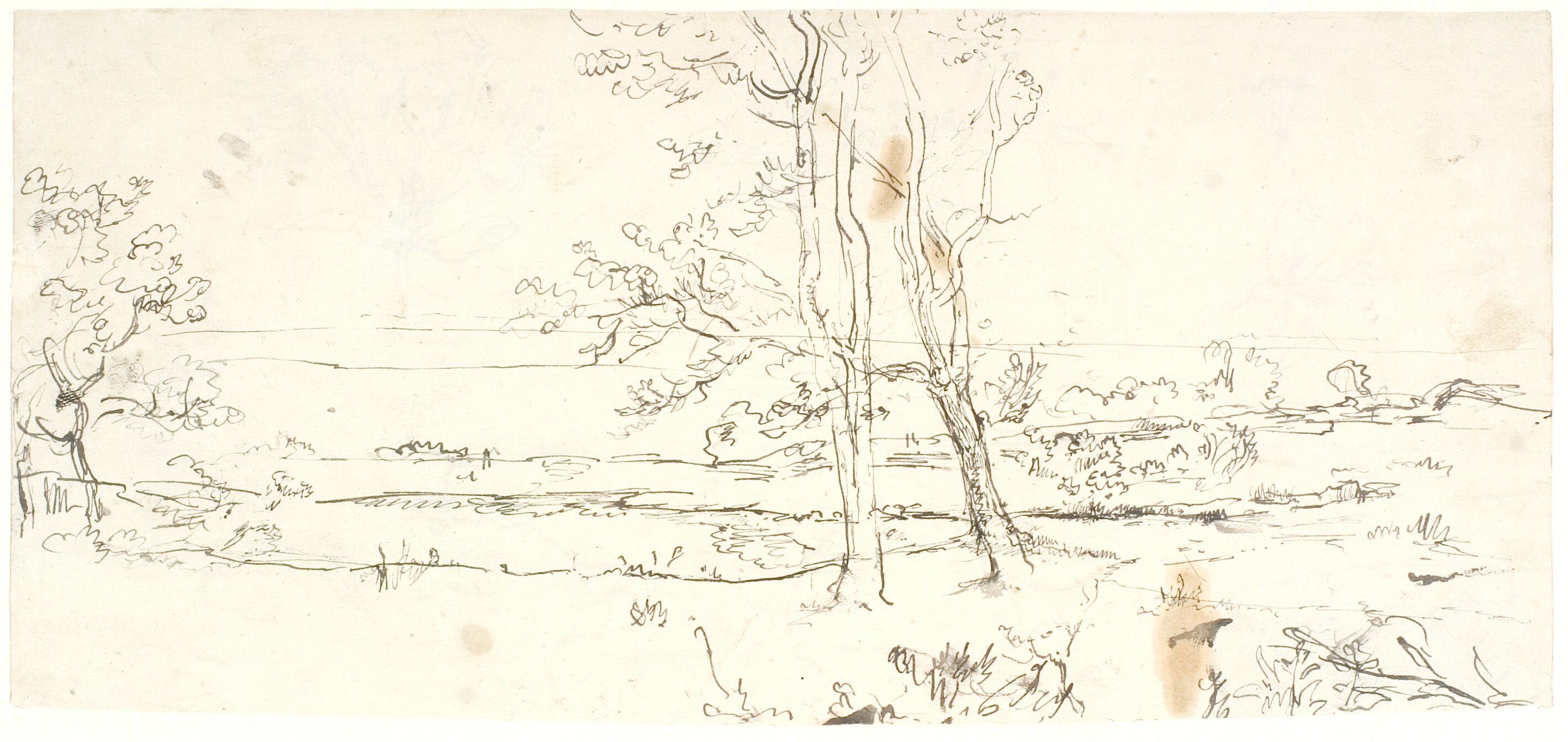 Udsigt over et landskab med et par træer i forgrunden