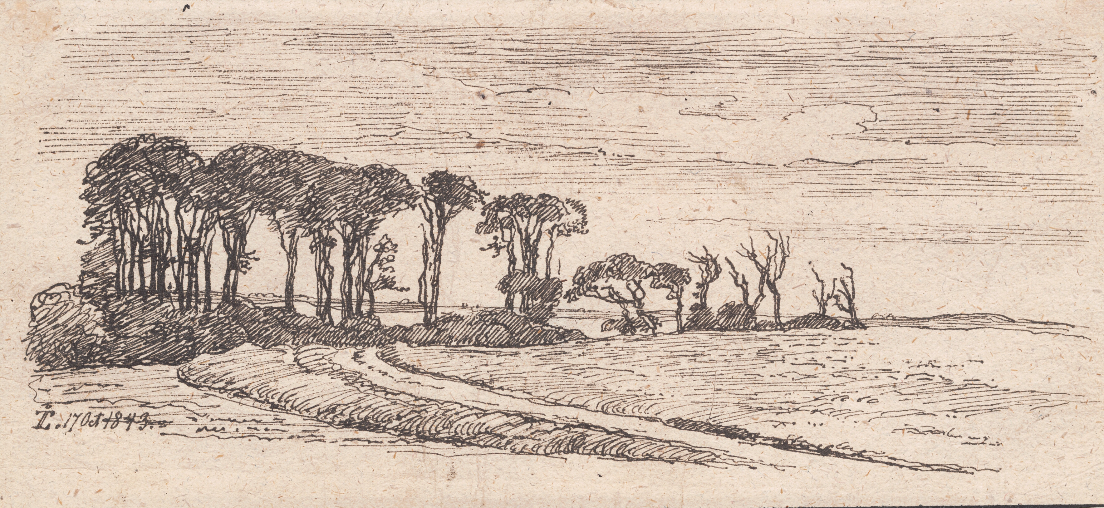 Landskab med en række træer