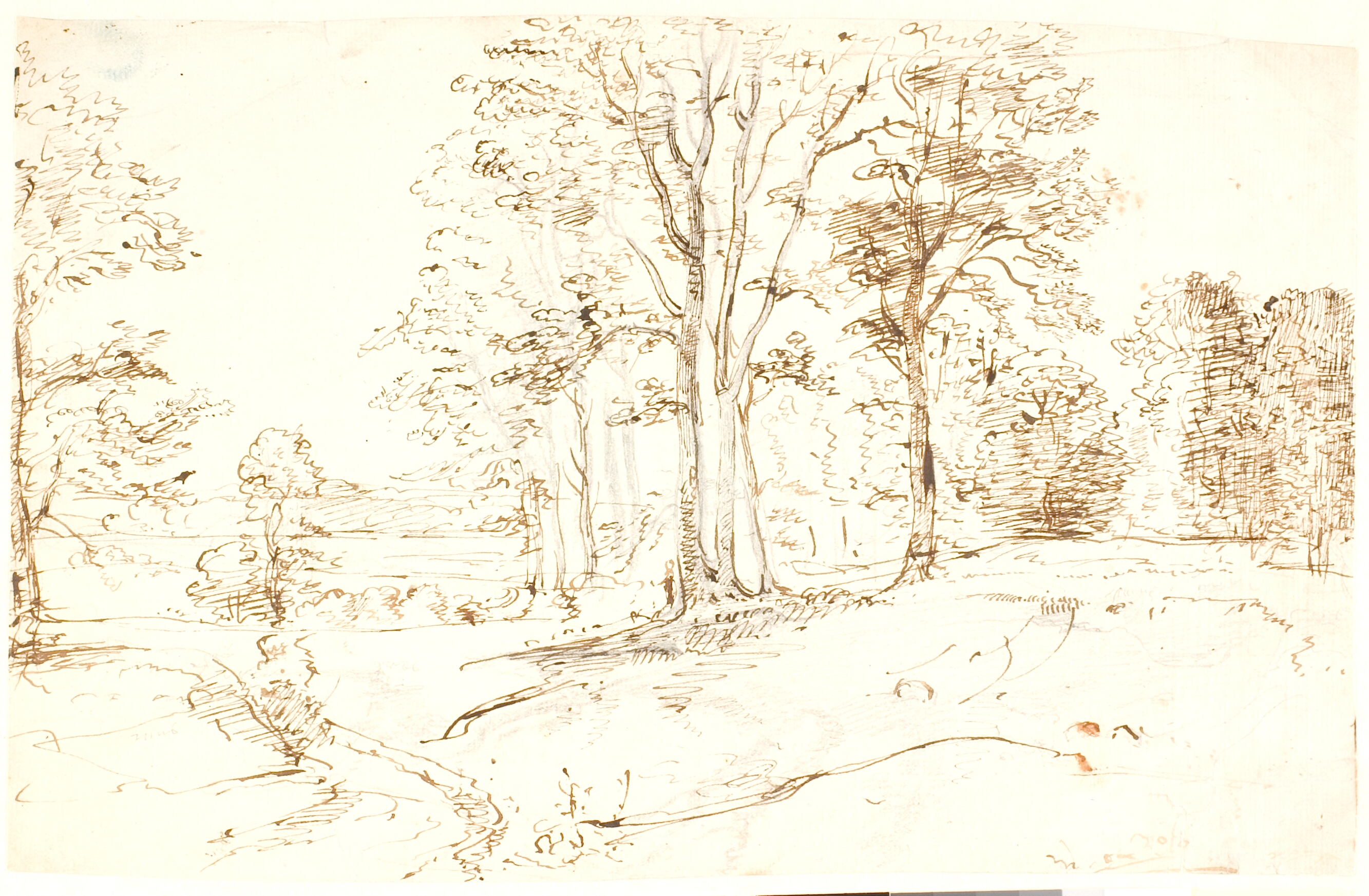 Udsigt over et skovrigt landskab