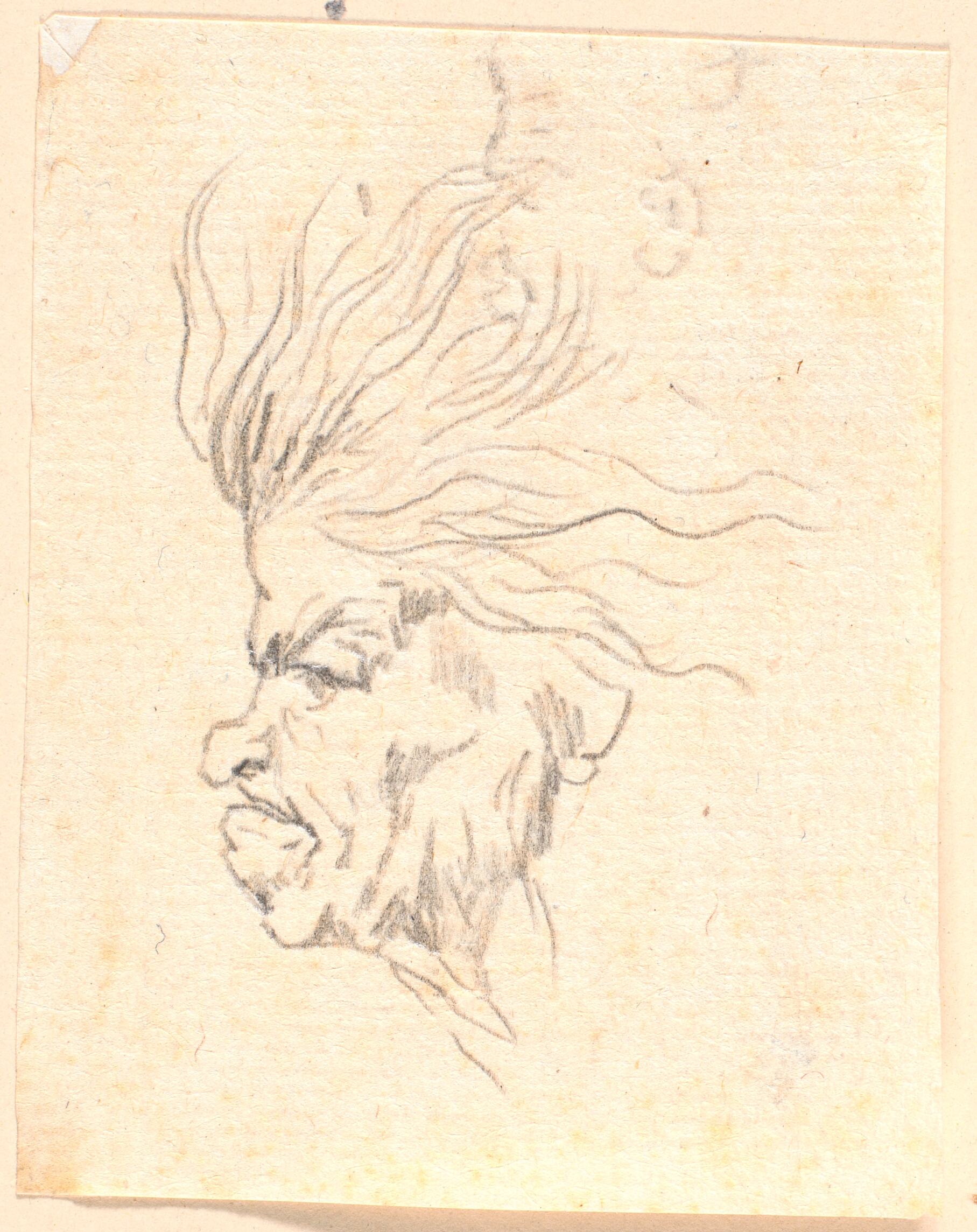 Et Medusaagtigt kvindehoved i profil mod venstre