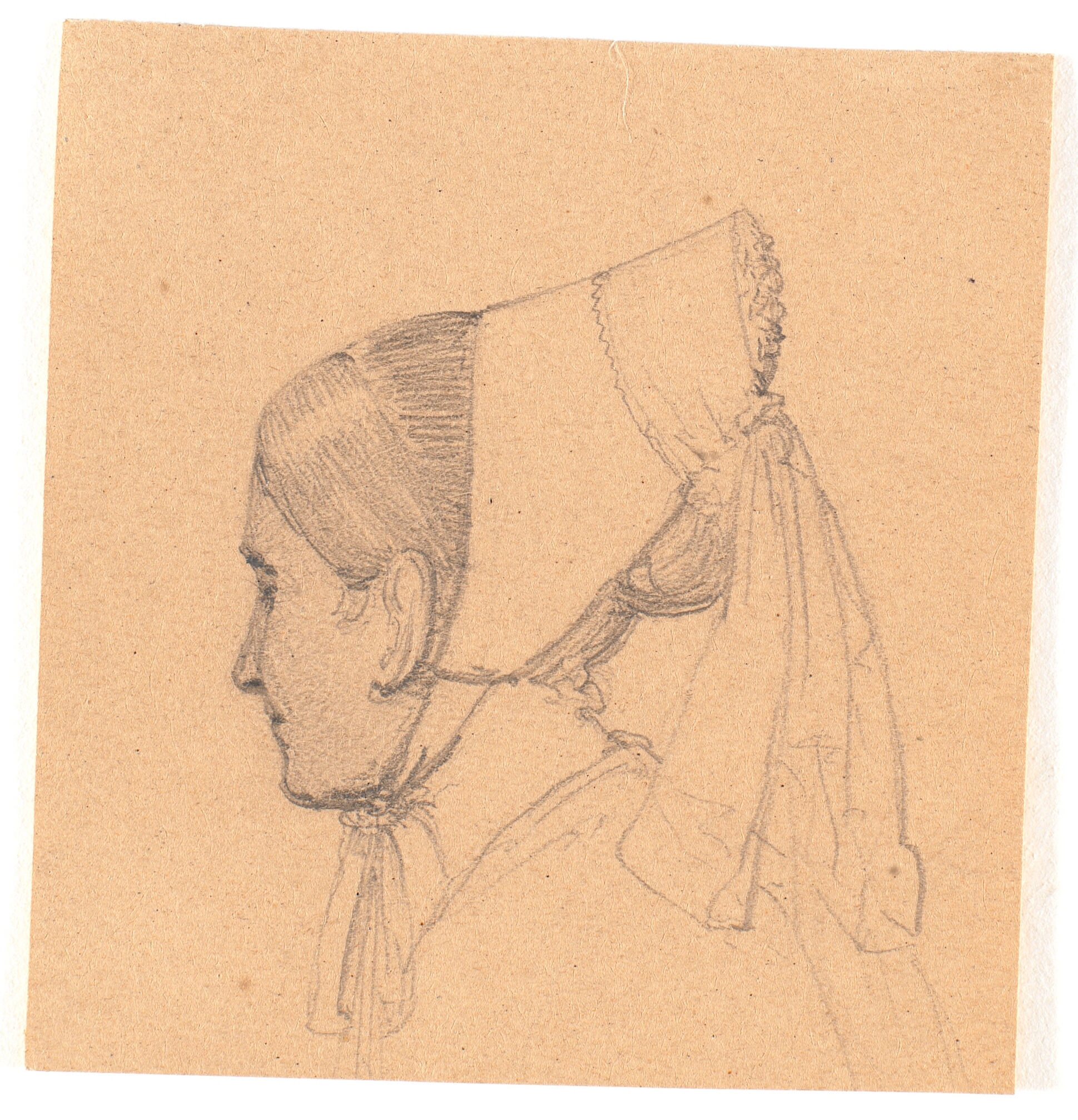 Hoved af en ung kvinde. Profil til venstre