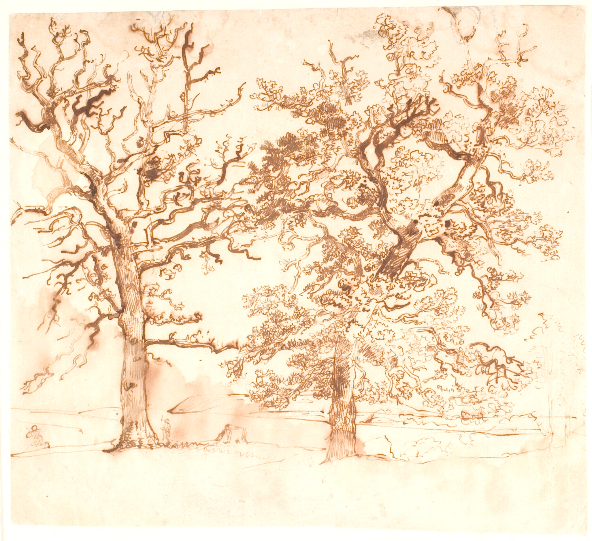 Landskab med store egetræer i forgrunden