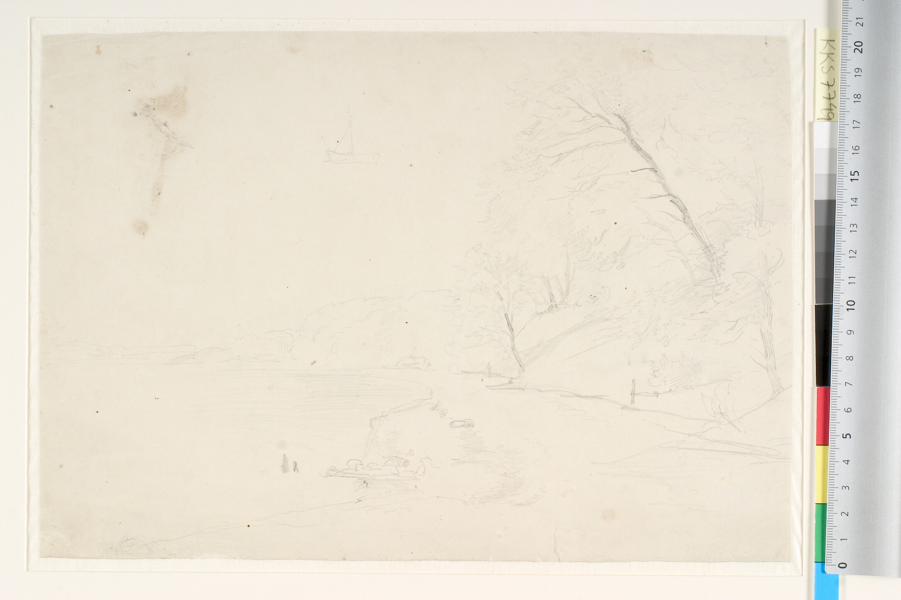 Strandparti med træbevoksede skrænter