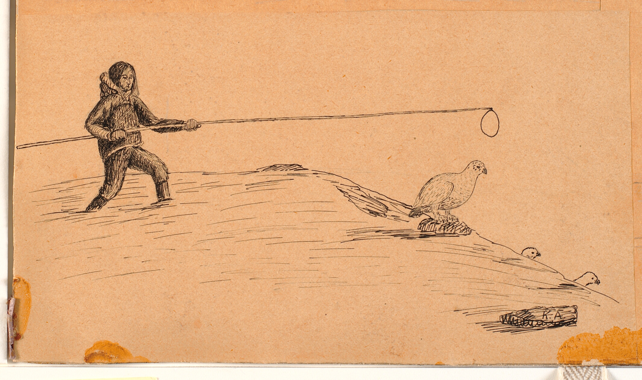 Rypefangst med lang stang og løkke