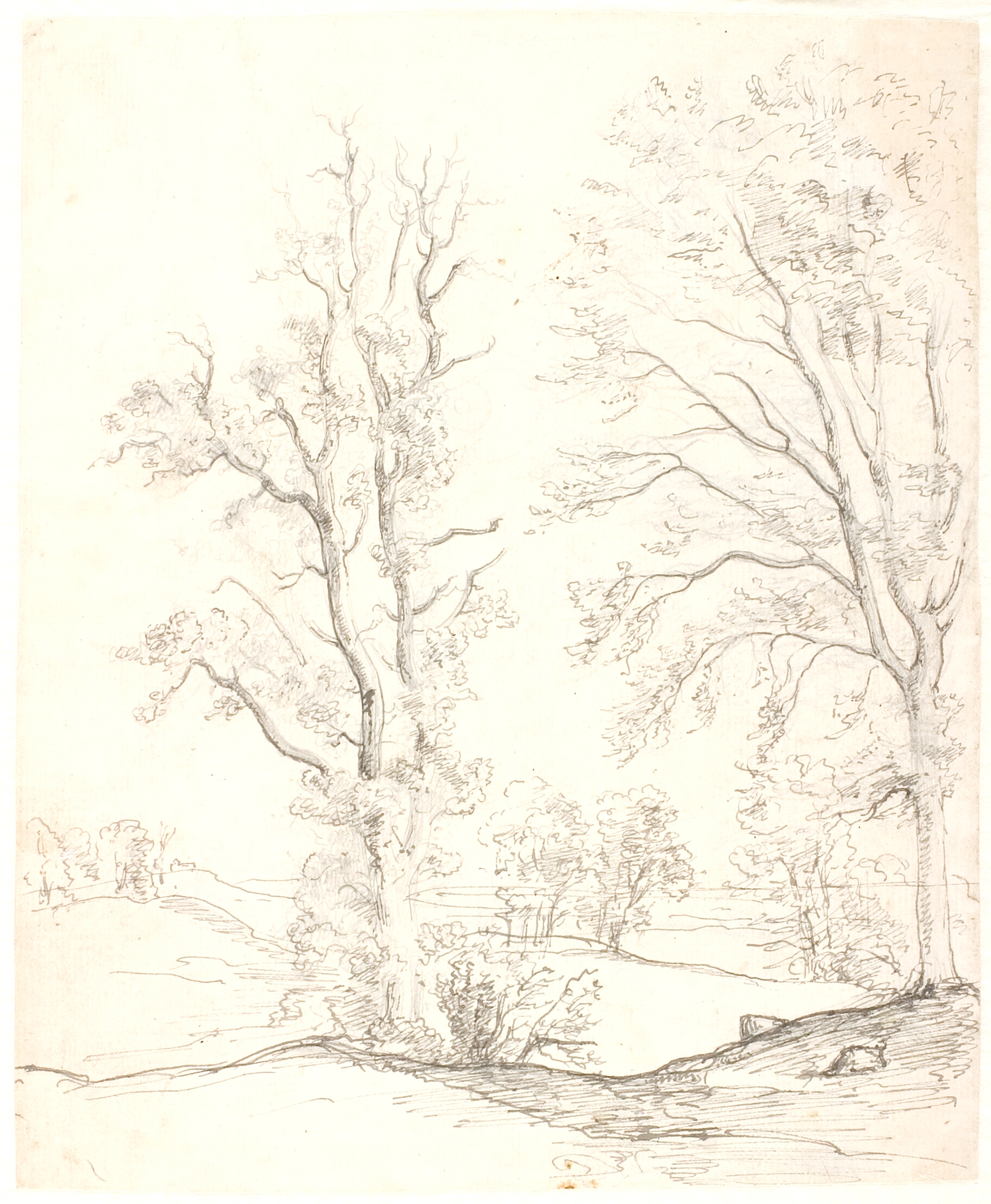 Bakket landskab i forgrunden store træer