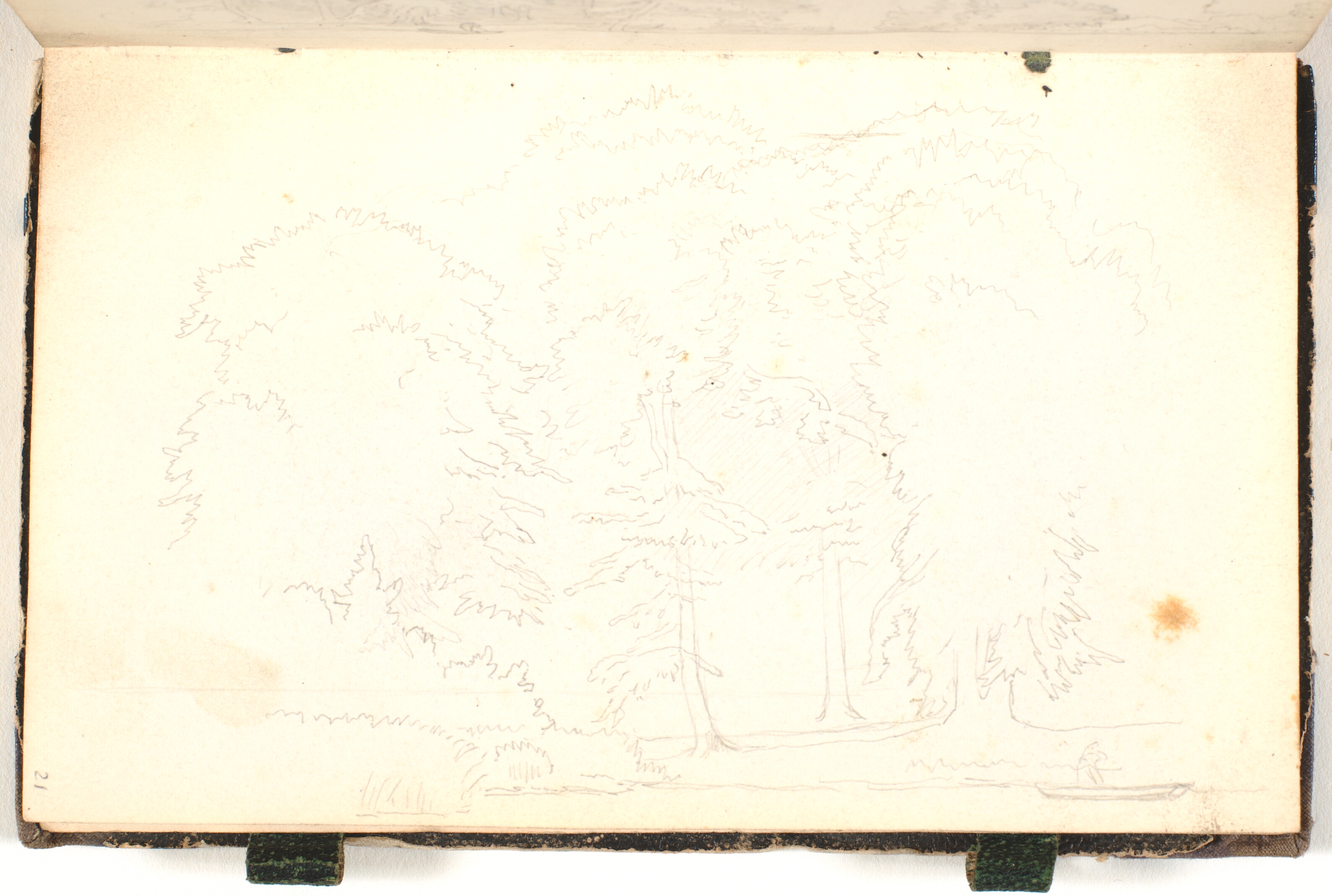 Skovparti ved en sø