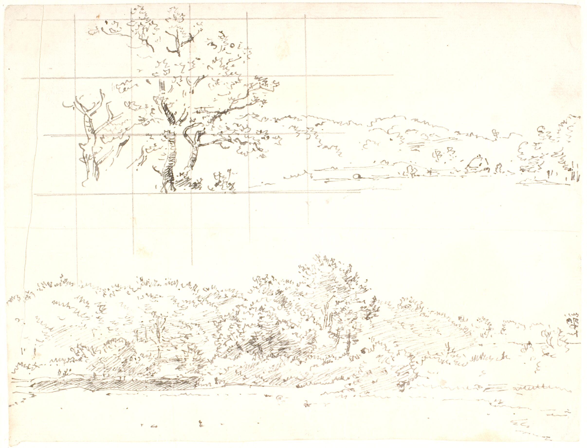 Landskab med skov, i forgrunden t.v. et egetræ. Forneden: Udkanten af en skov