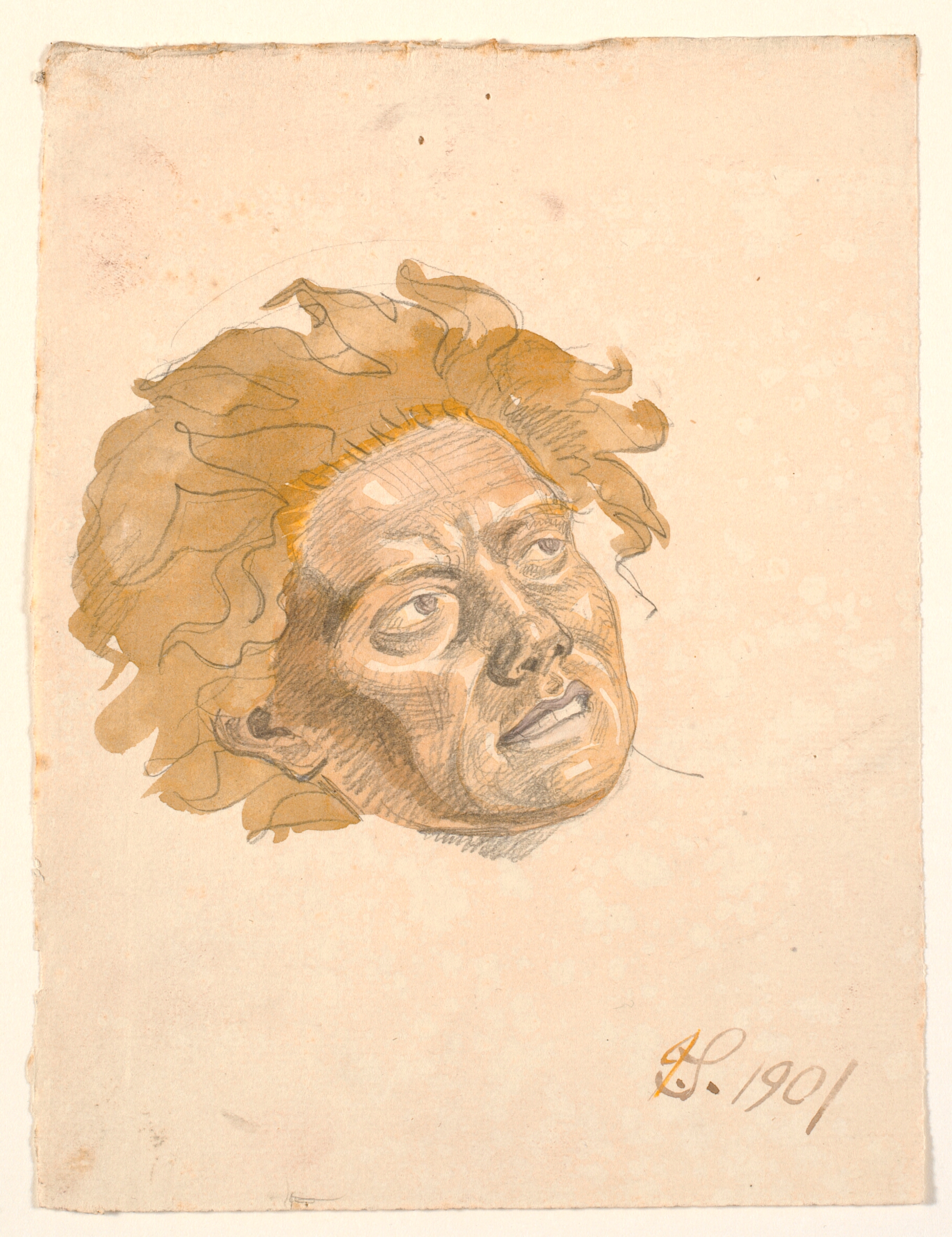 Hovedet af mandsperson