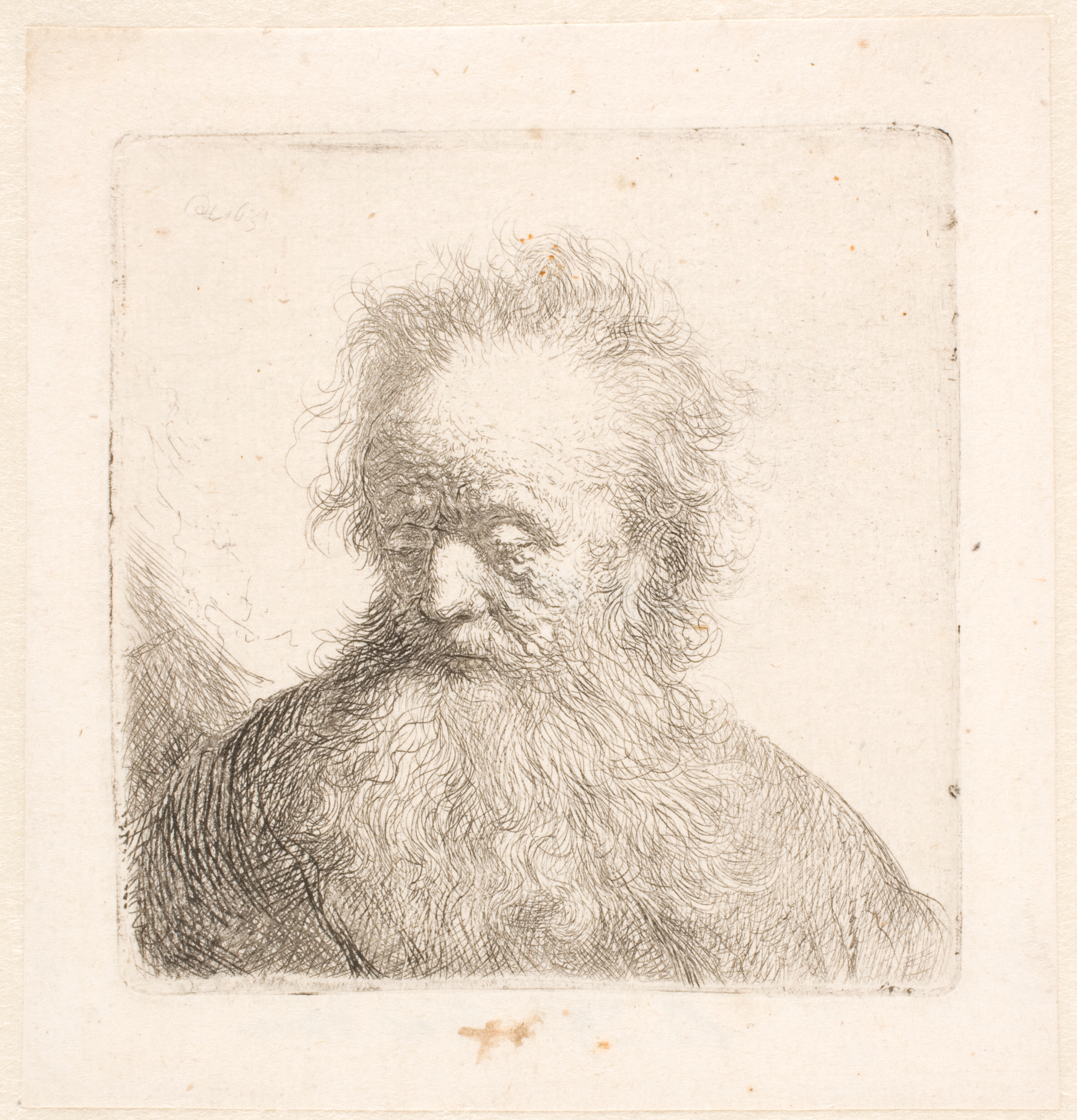 Hoved og skulder af gammel, skægget mand