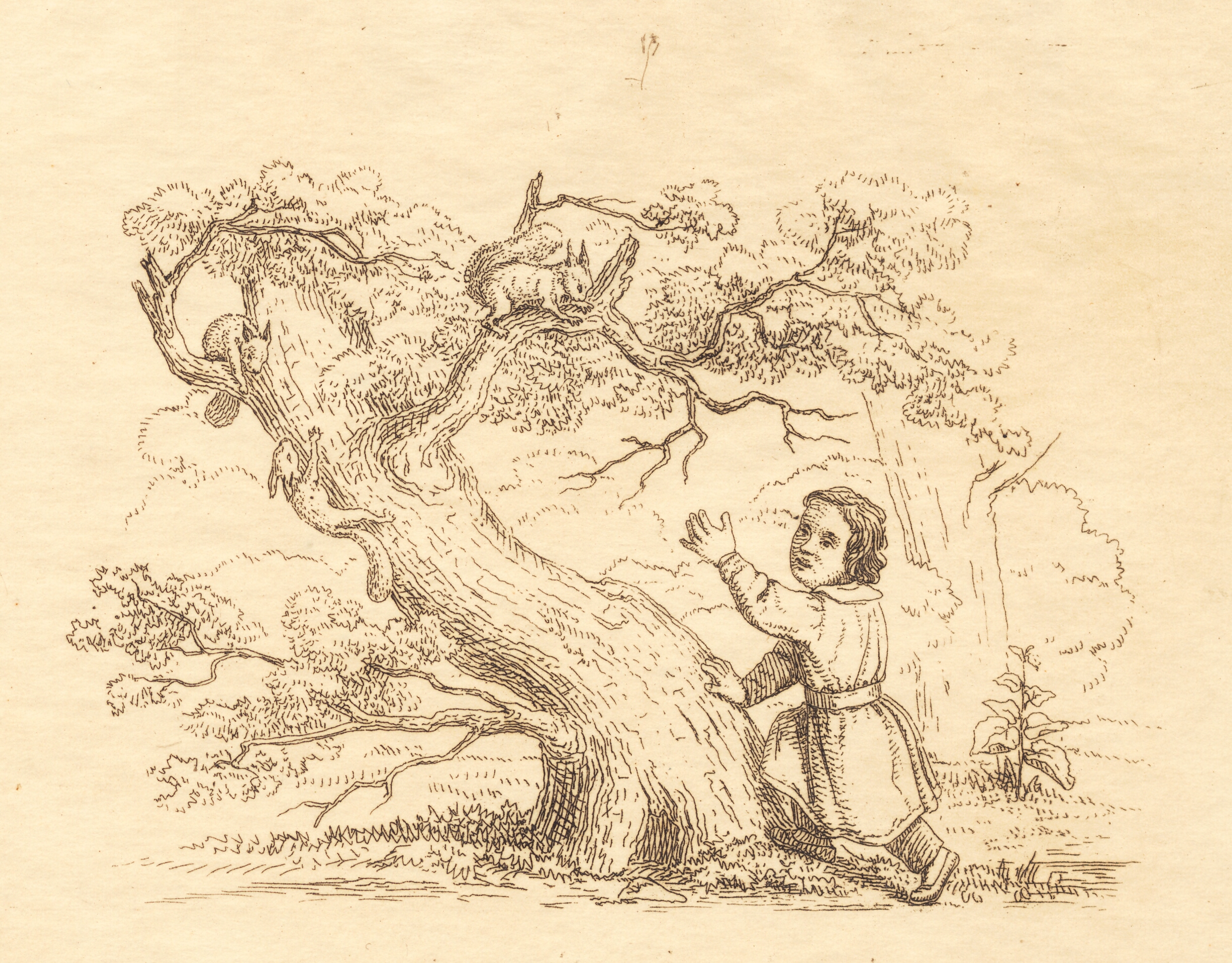 Illustration til "Halvhundrede Fabler for Børn" af Hey