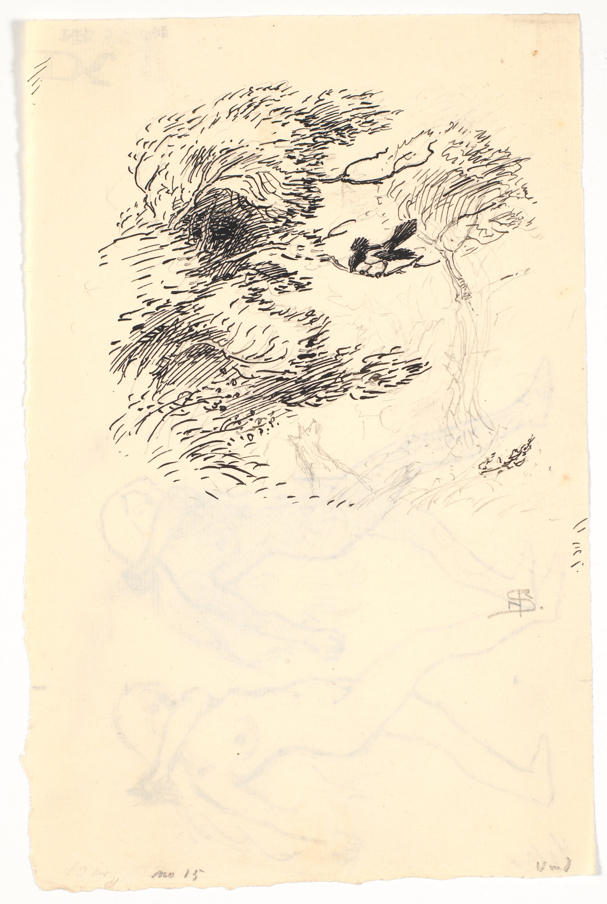 Mikkel Ræv og Klavs Skade