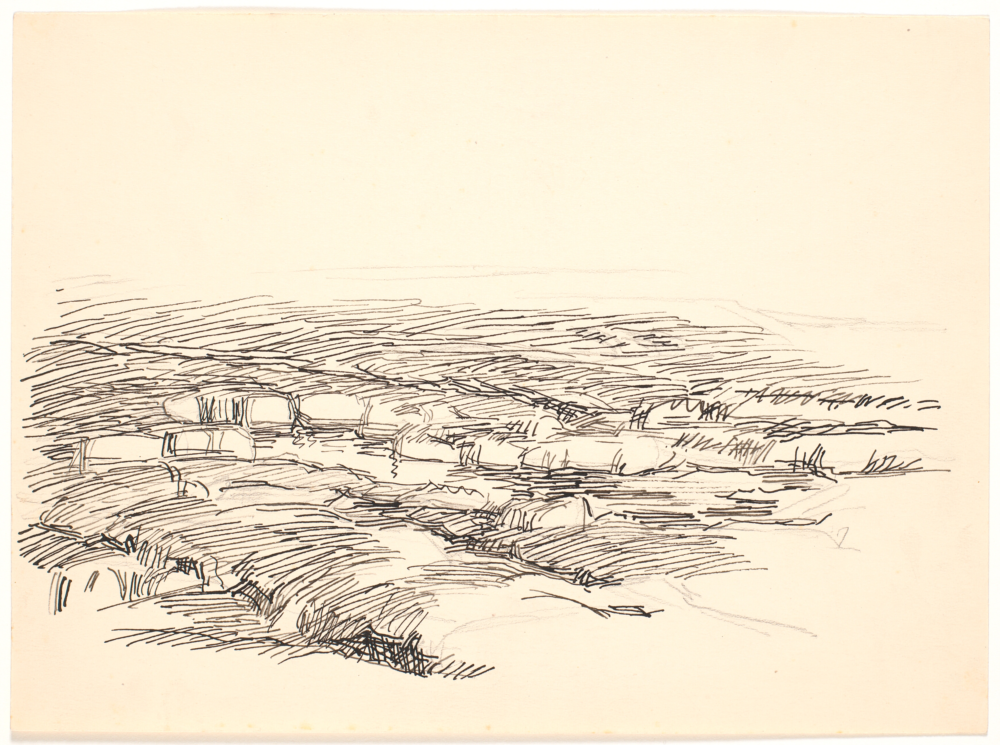 Studie til moselandskab