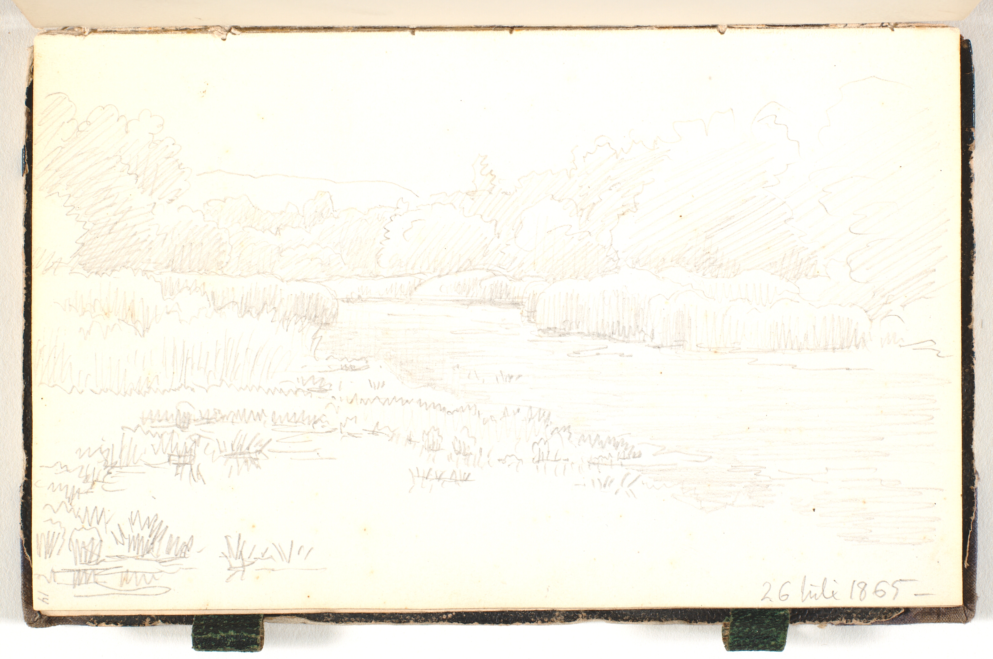 En å med træer og buske i baggrunden