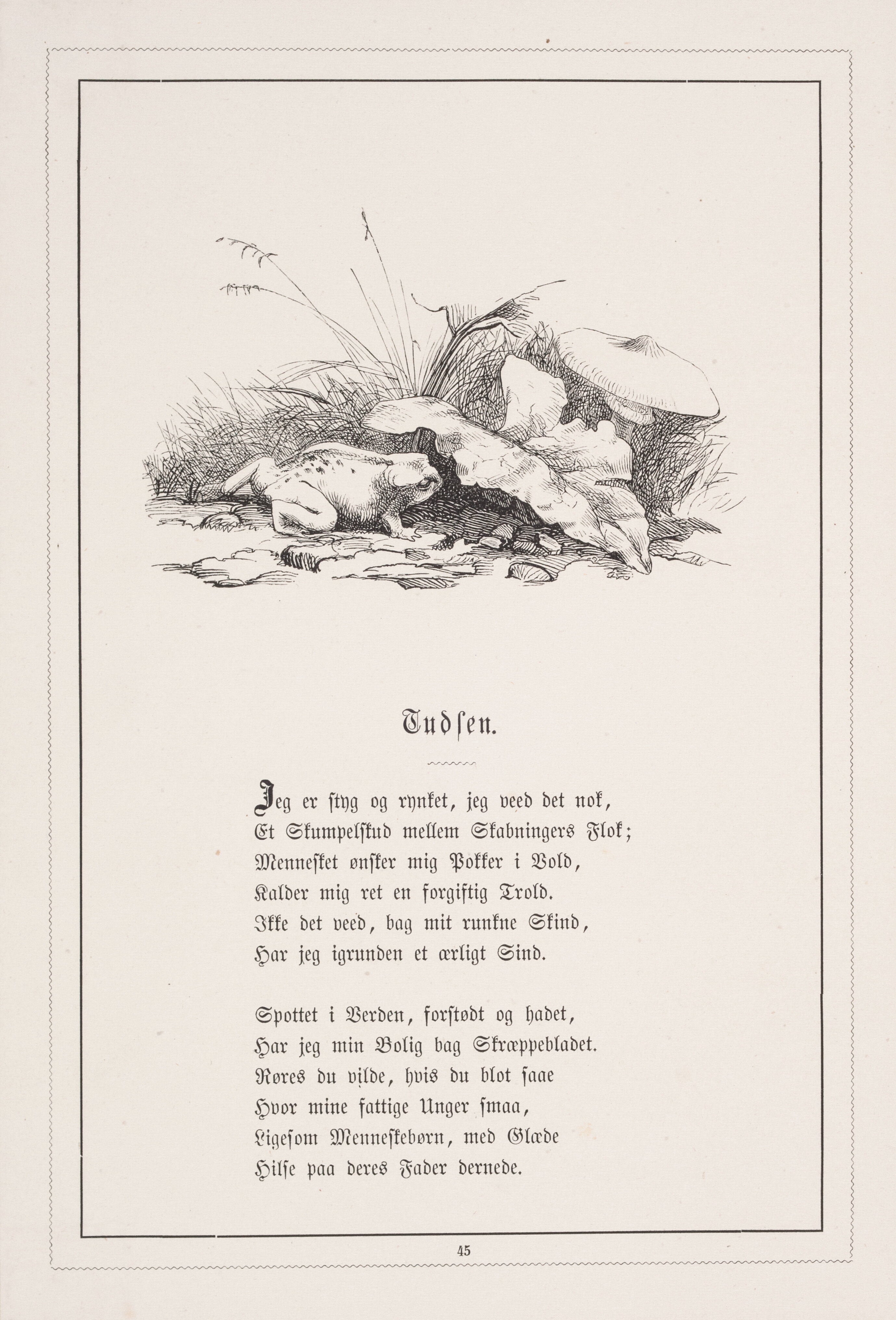 Tudsen. Illustration til H.V. Kaalund, "Fabler for Børn"