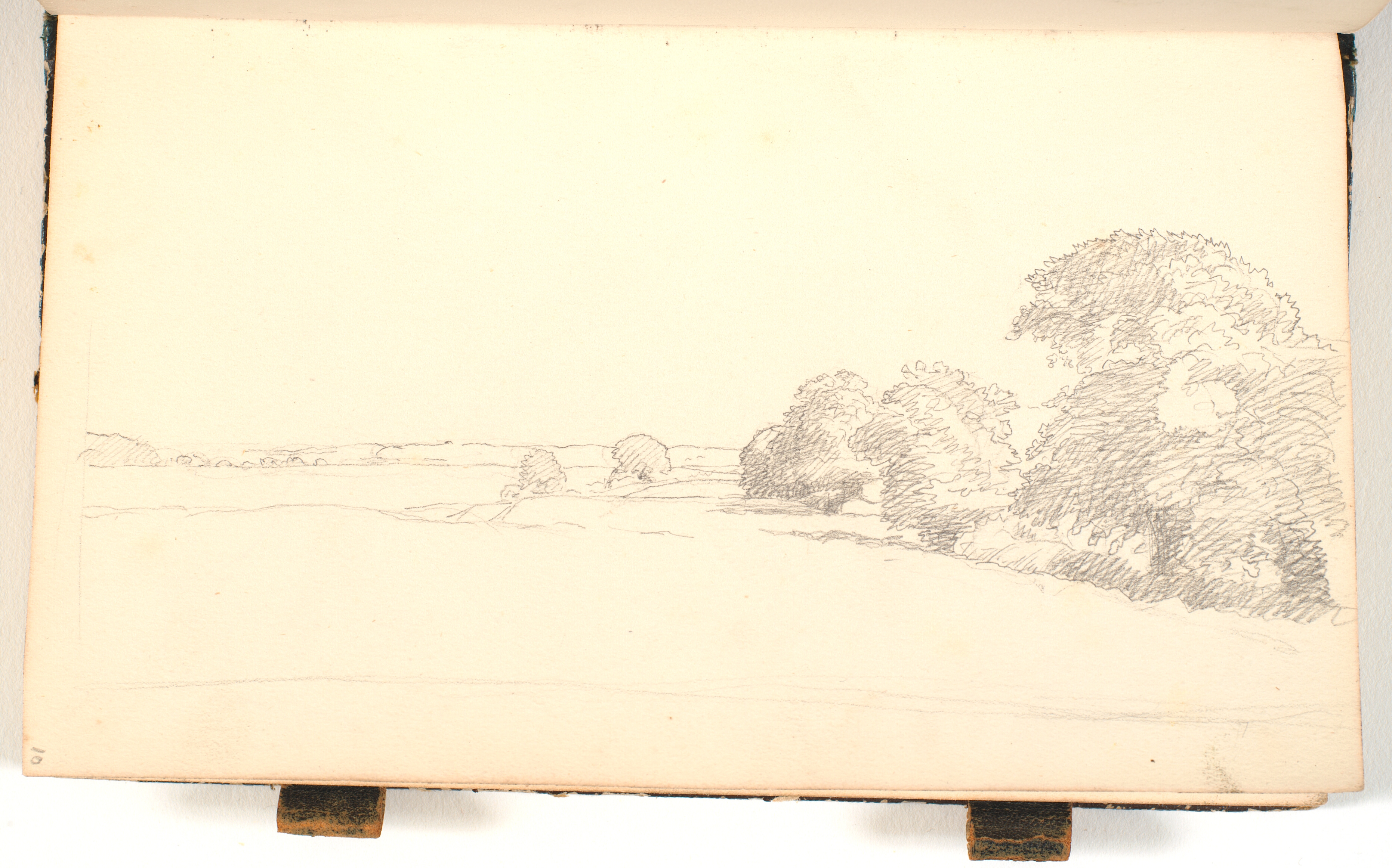 Marker og spredt træbevoksning