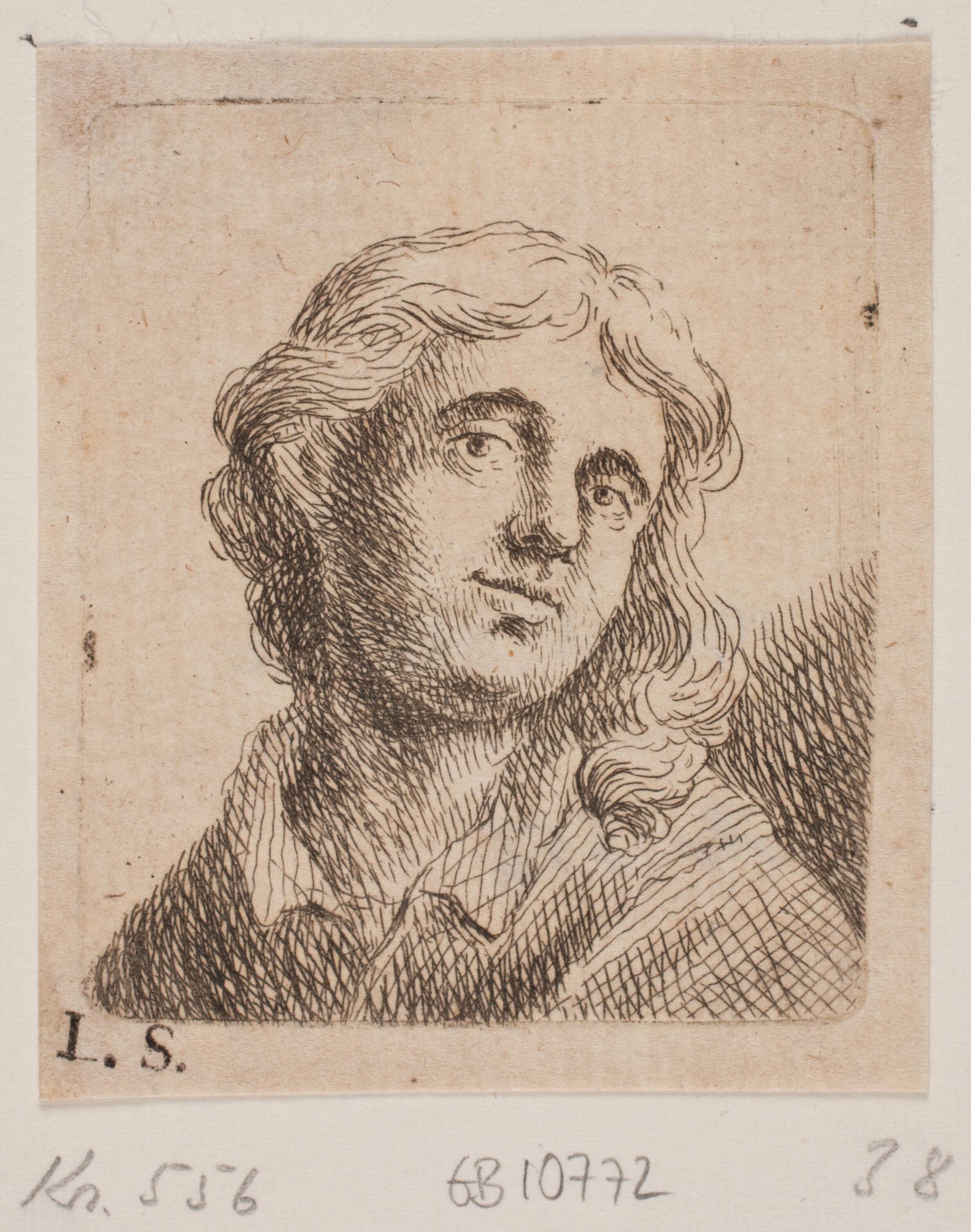 Brystbillede af en ung Mand