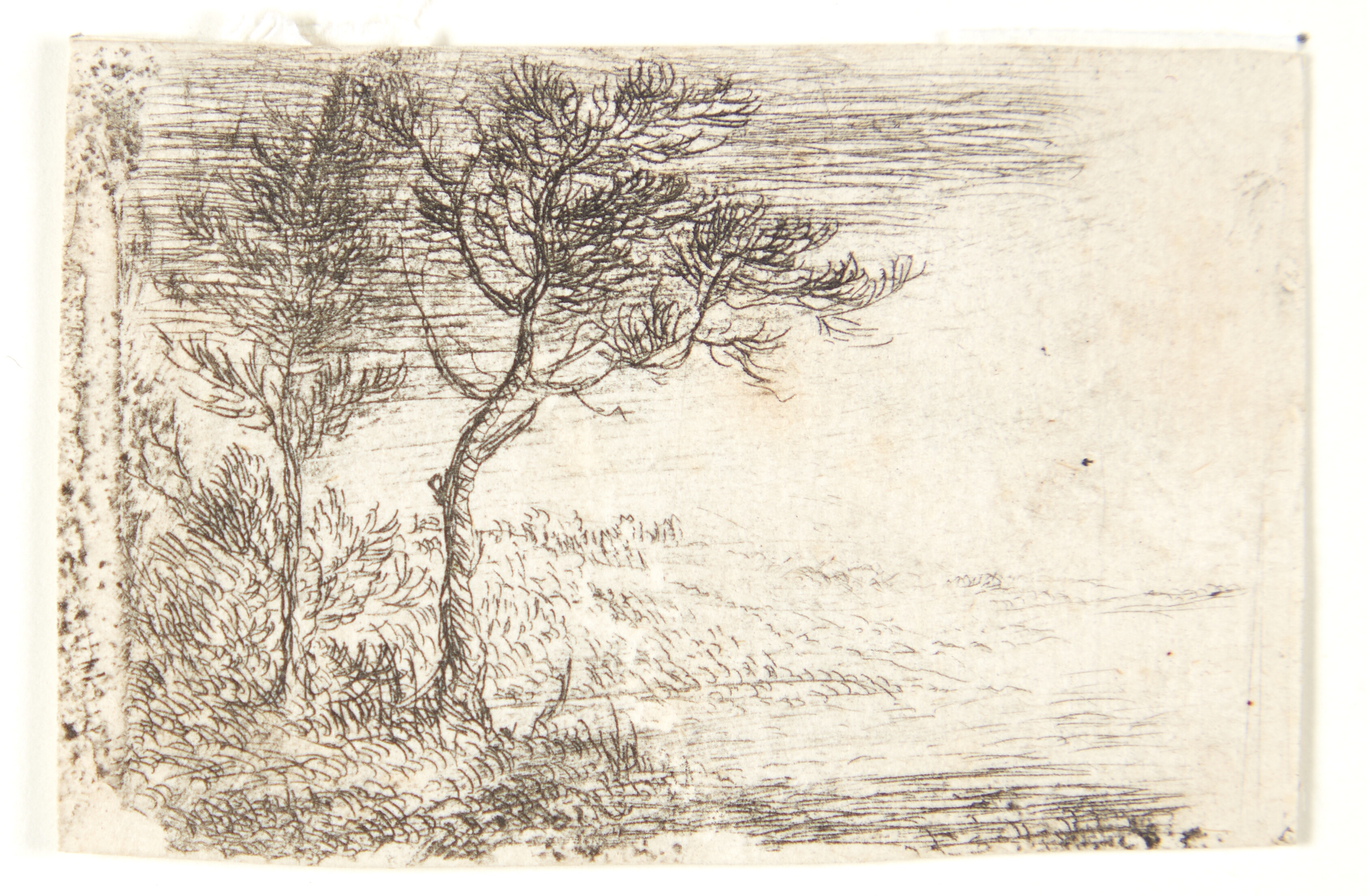 Landskab med to træer til venstre