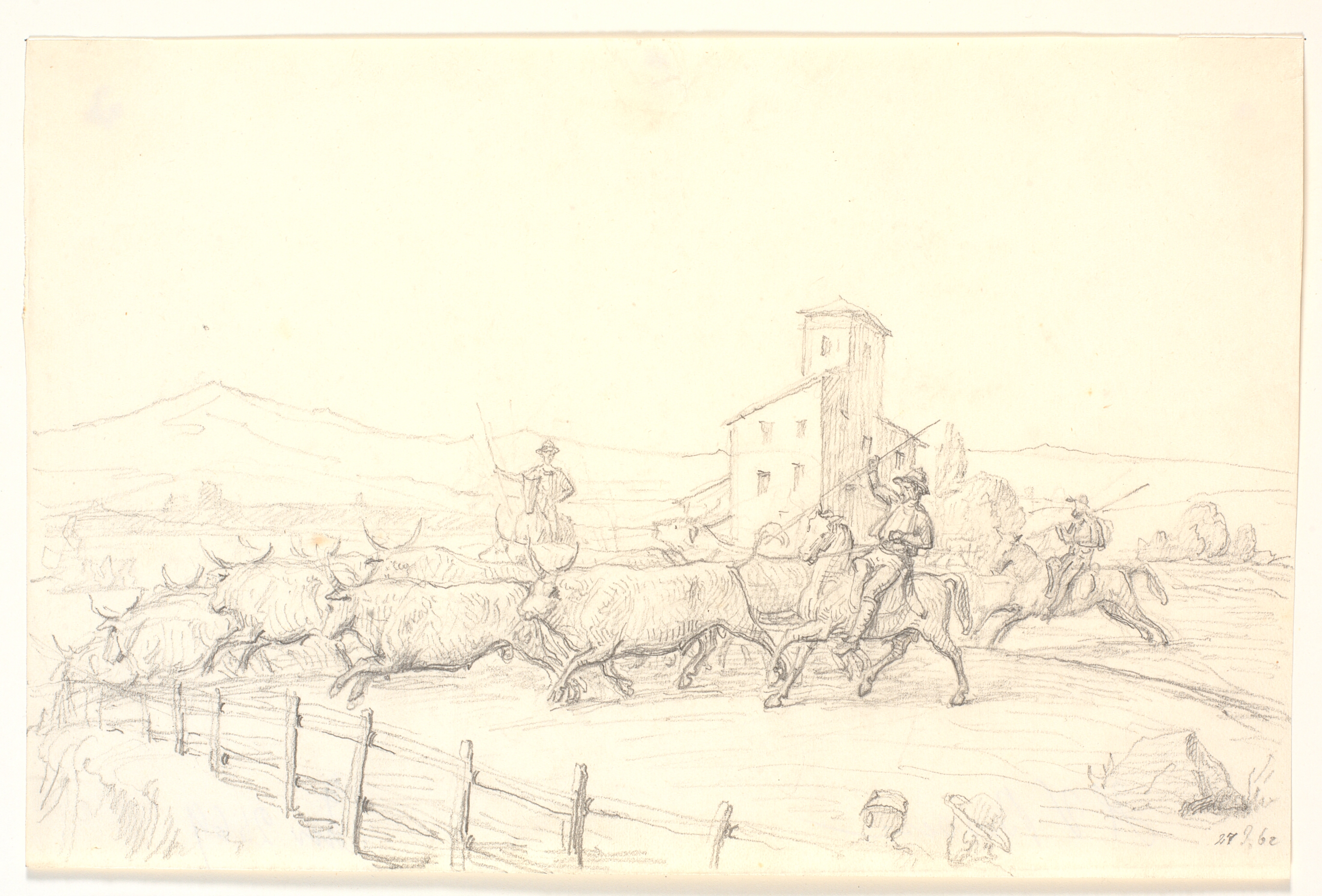 En drift okser i den romerske Campagne