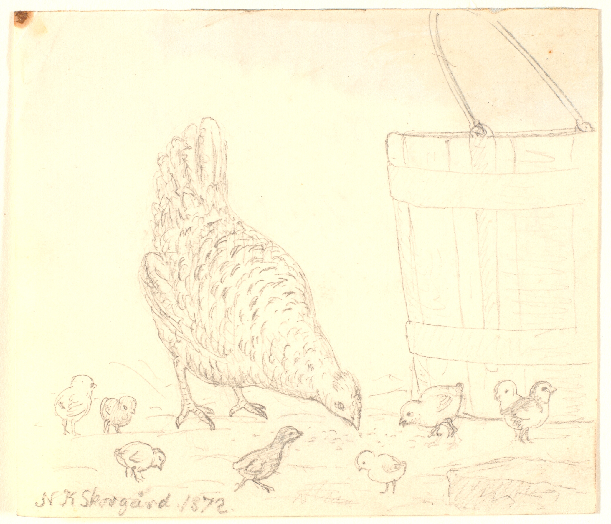 En høne med kyllinger