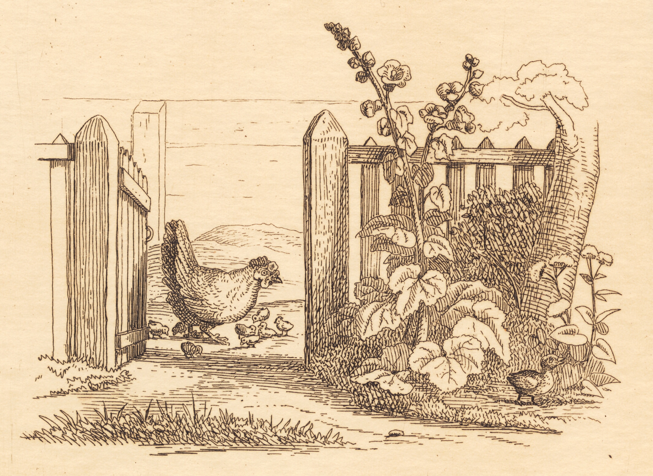 Illustration til "Halvhundrede Fabler for Børn" af Hey