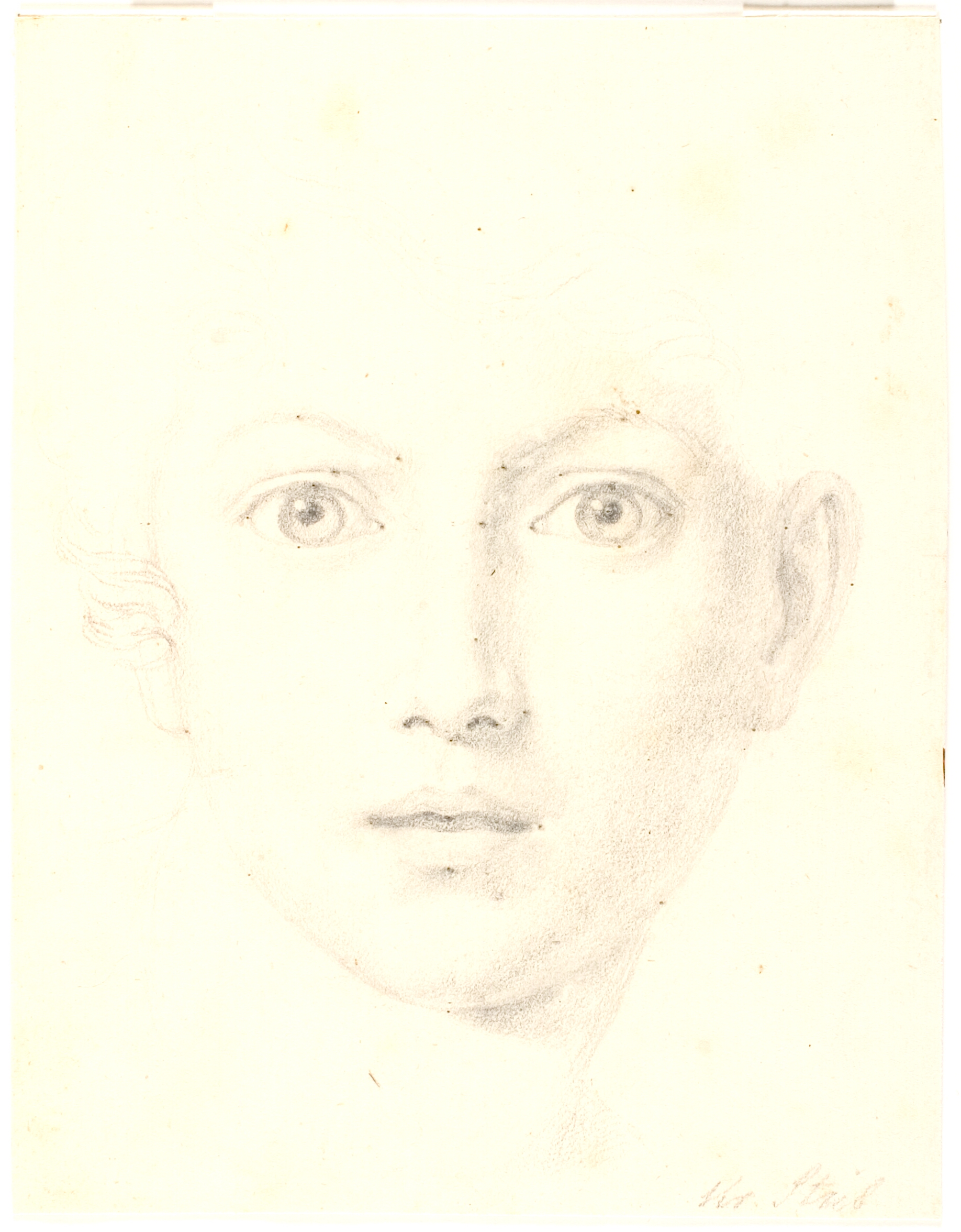 Studiehoved af Alpins søn