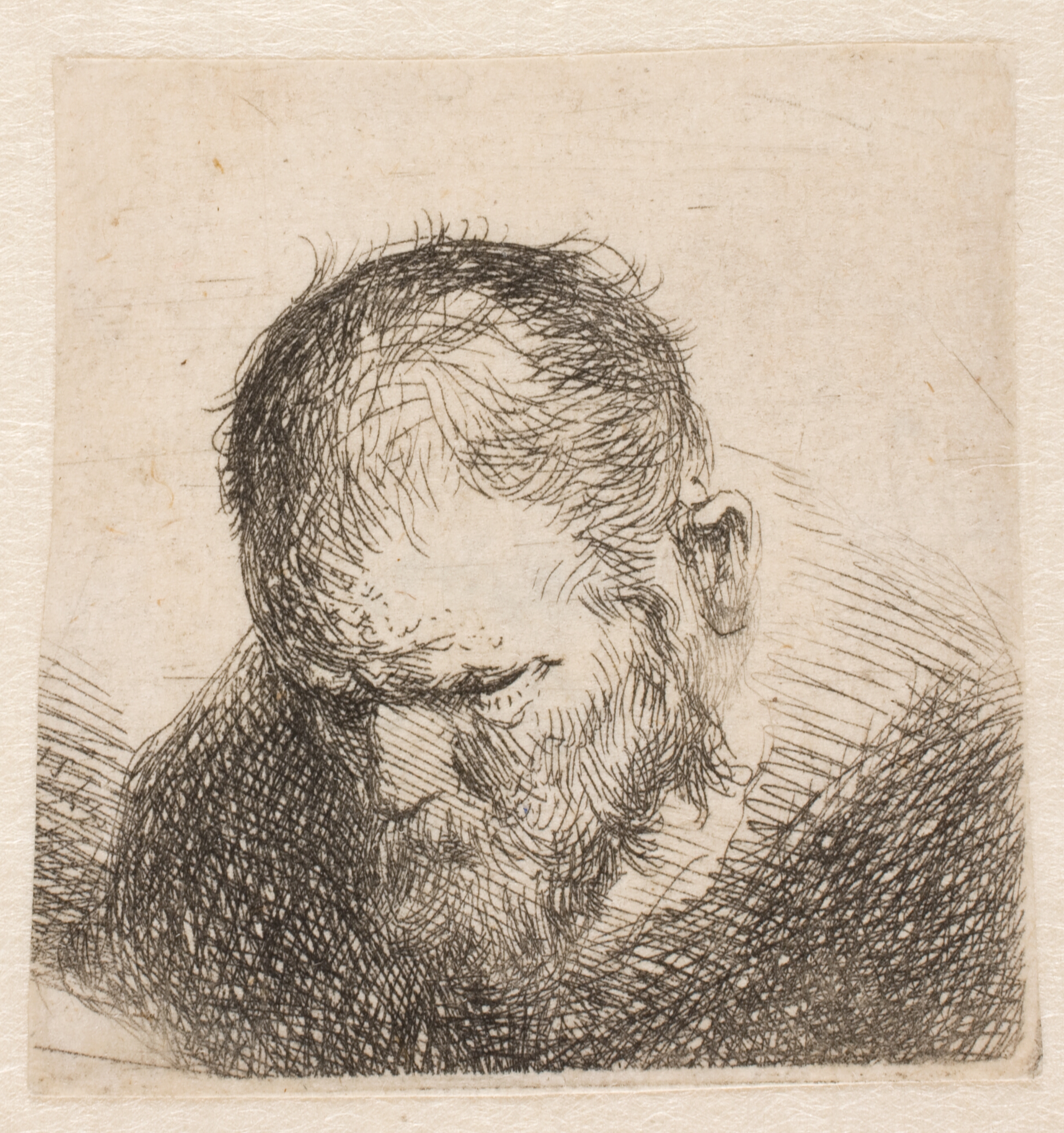 Hovedet af en skægget mand