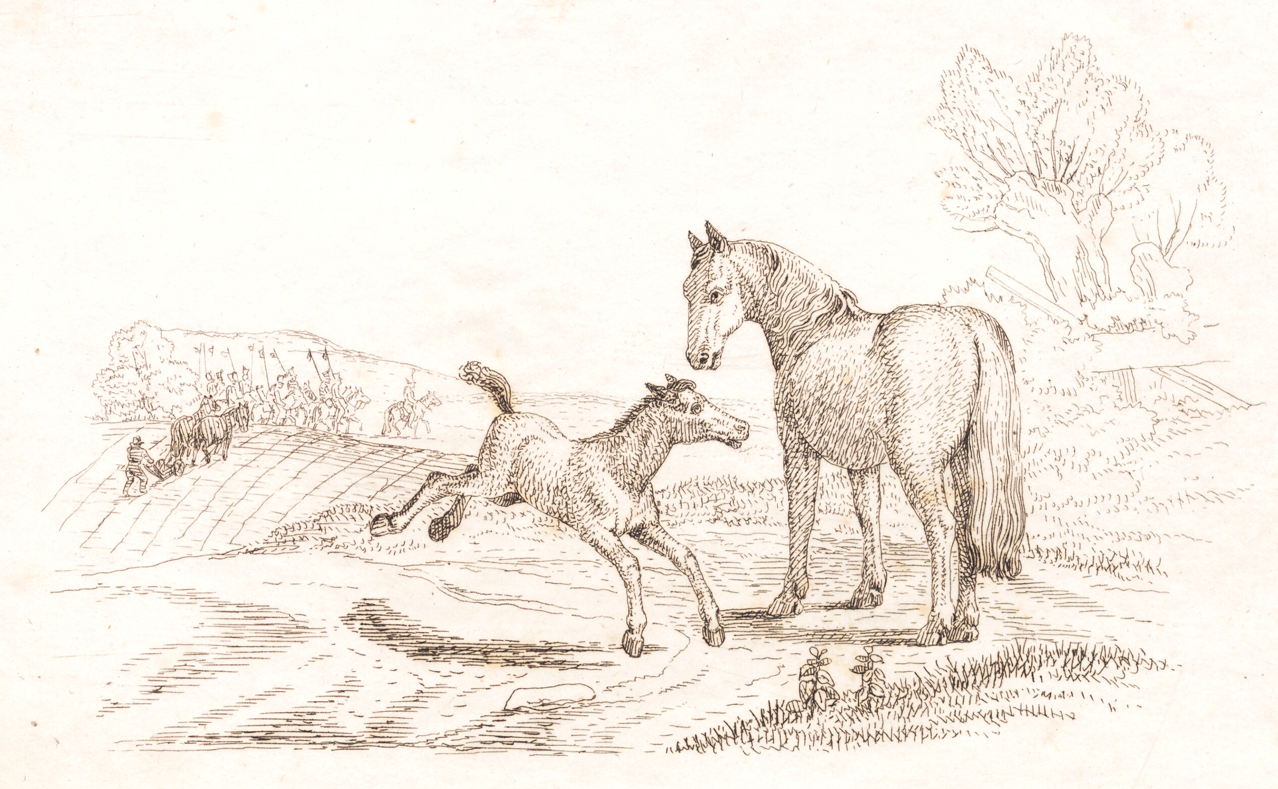 Illustration til "Halvhundrede Fabler for Børn" af Hey