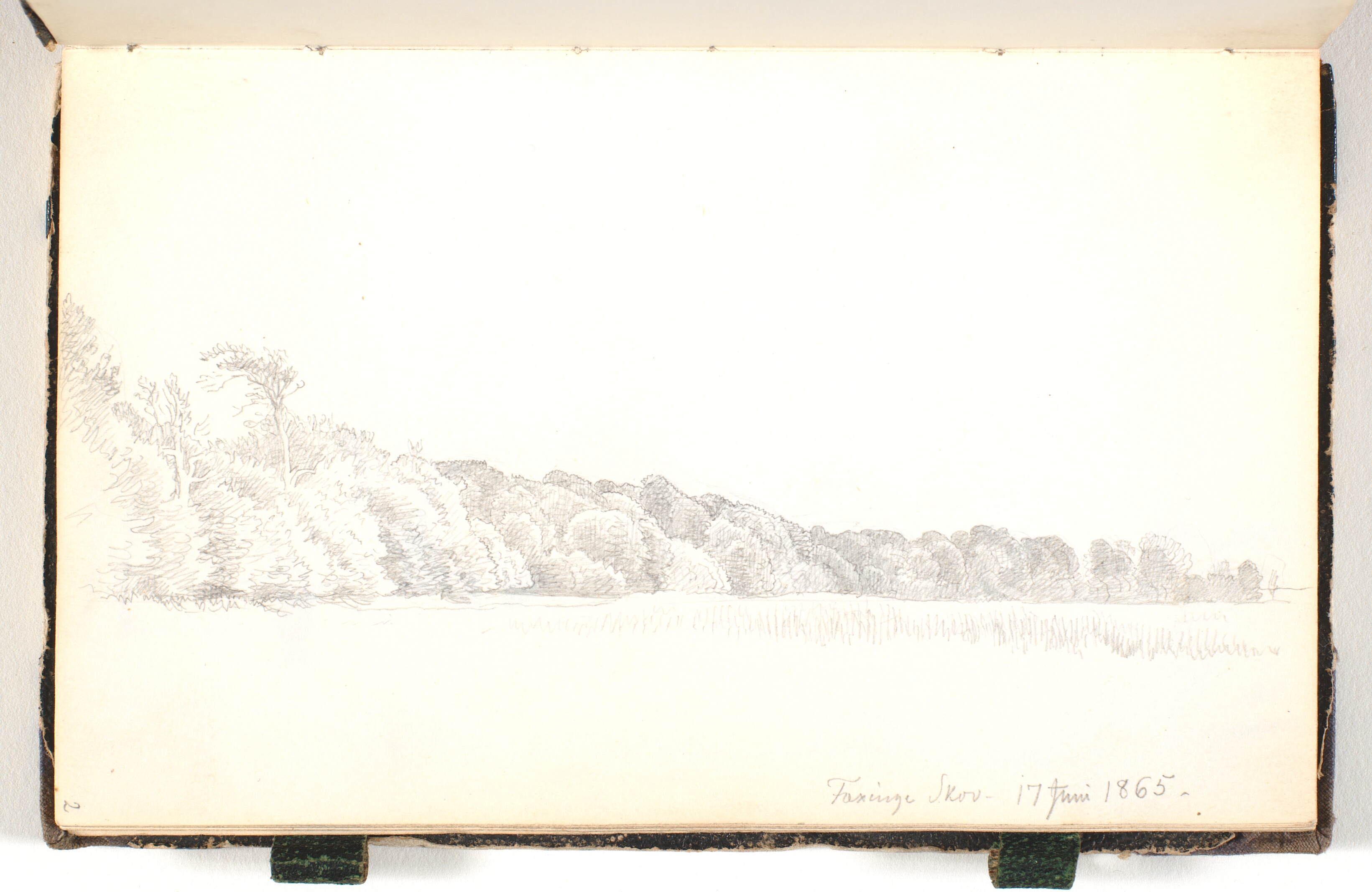 Udsigt mod et skovbryn