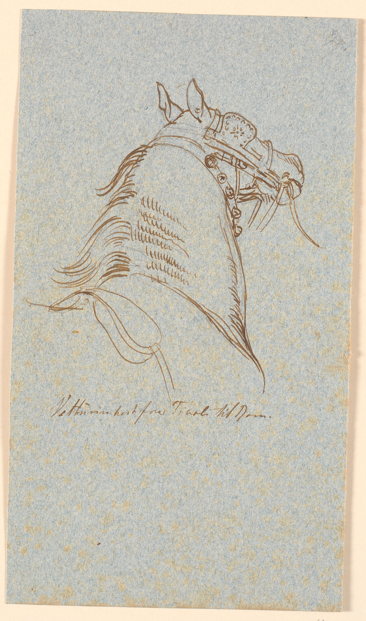 Hoved og hals af Vetturinhest