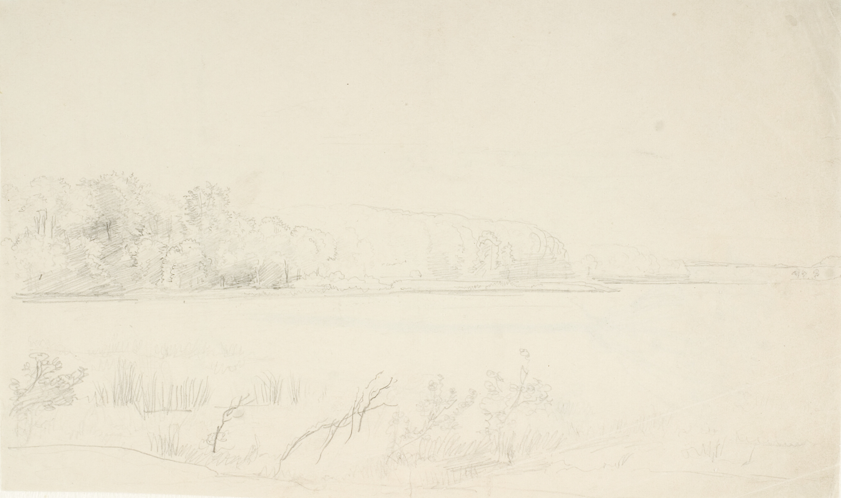 Udsigt over en sø med skovklædte bredder