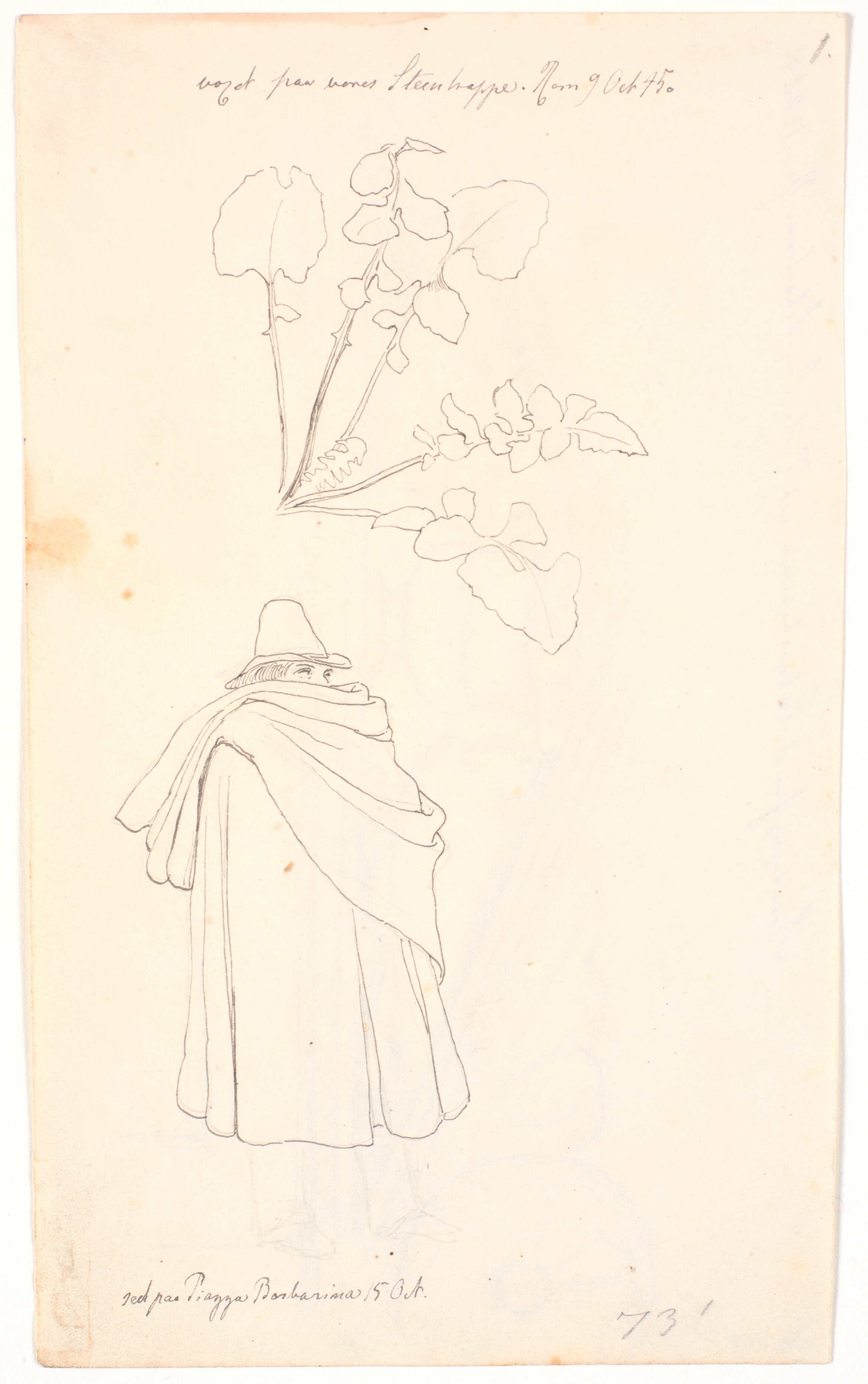 Studie af en løvetandsplante og italiener hyllet i sin kappe