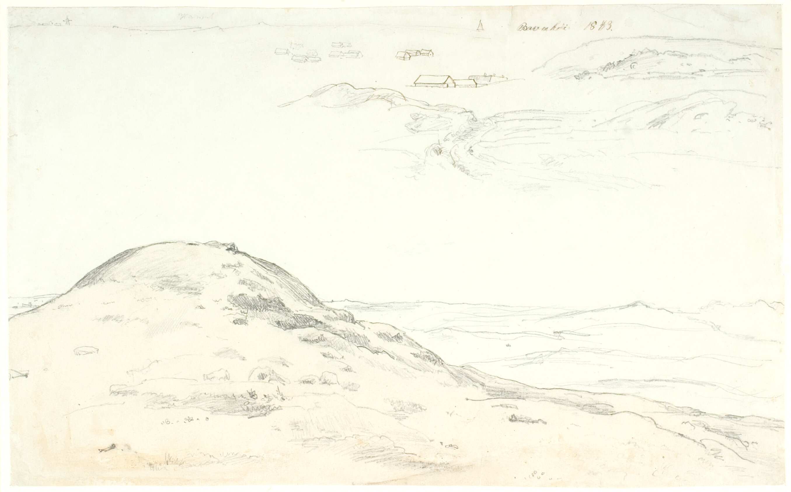 Klitparti ved Bavnehøj