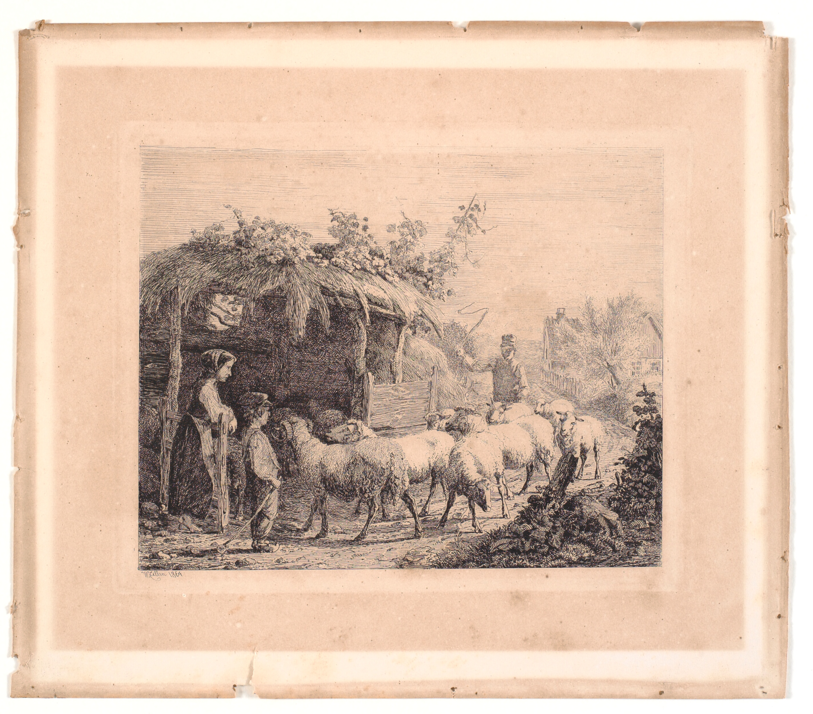 En flok får drives i stald